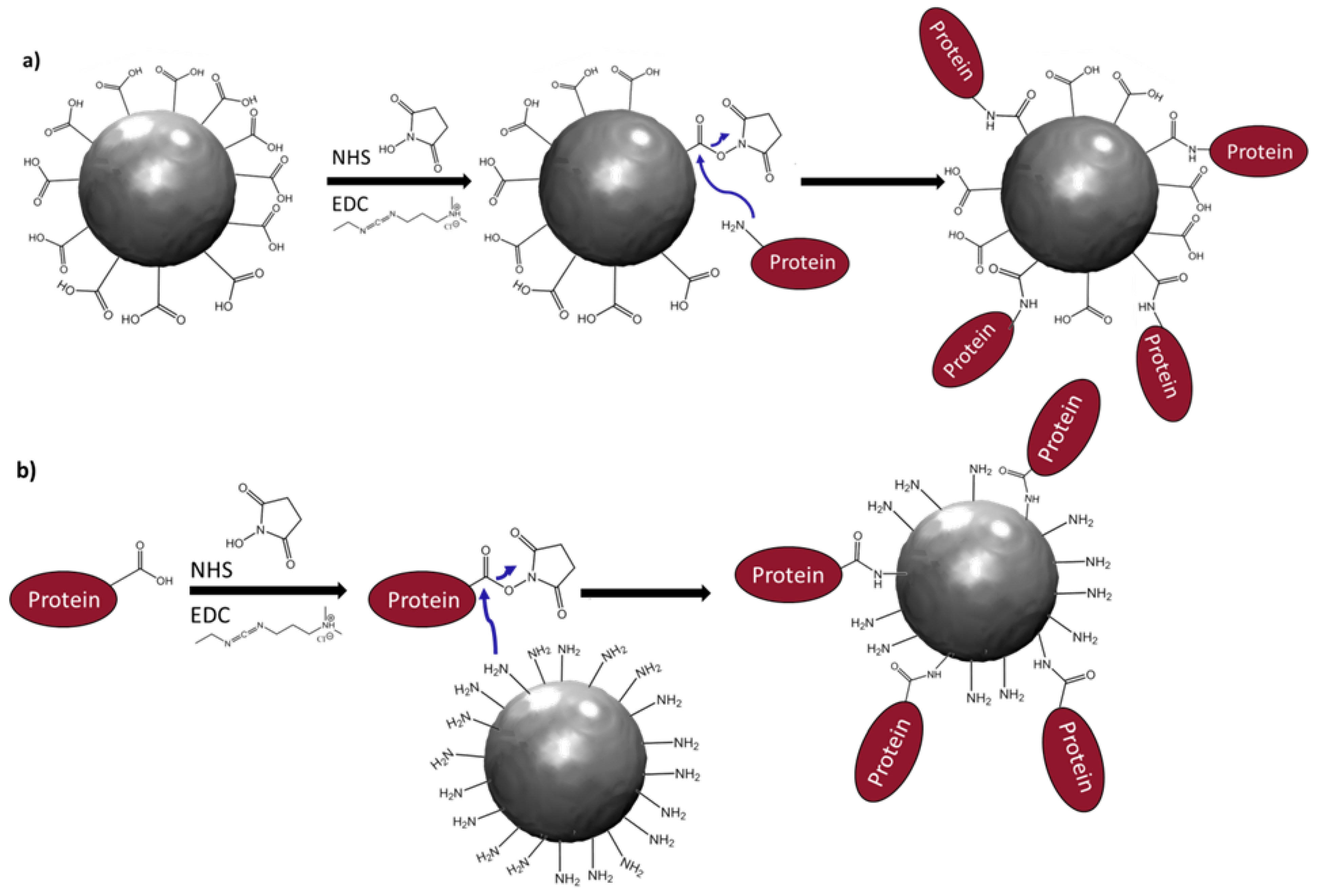 Nanomaterials 11 00502 g001