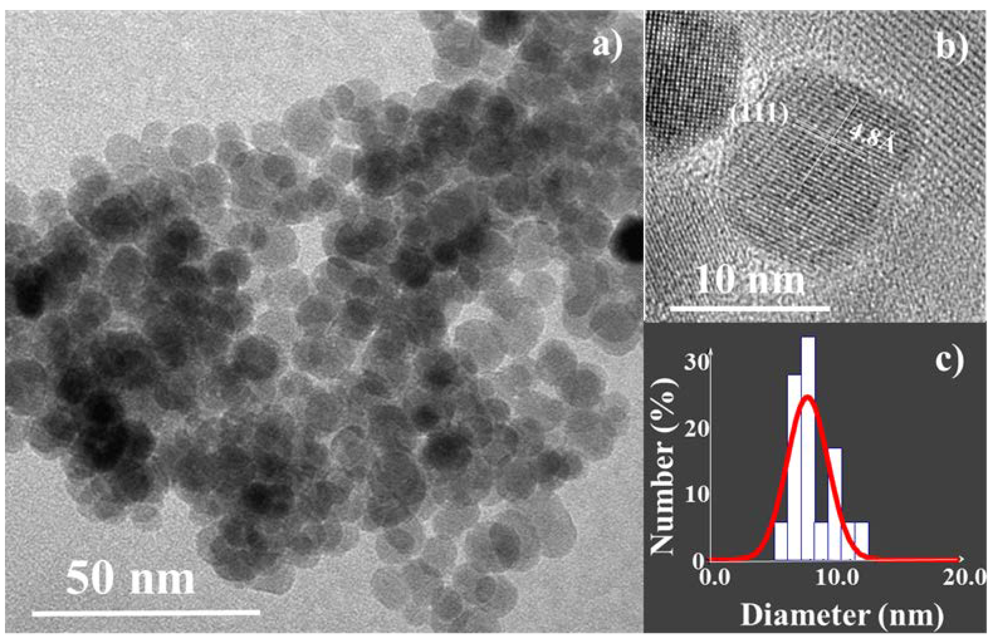Nanomaterials 11 00502 g002