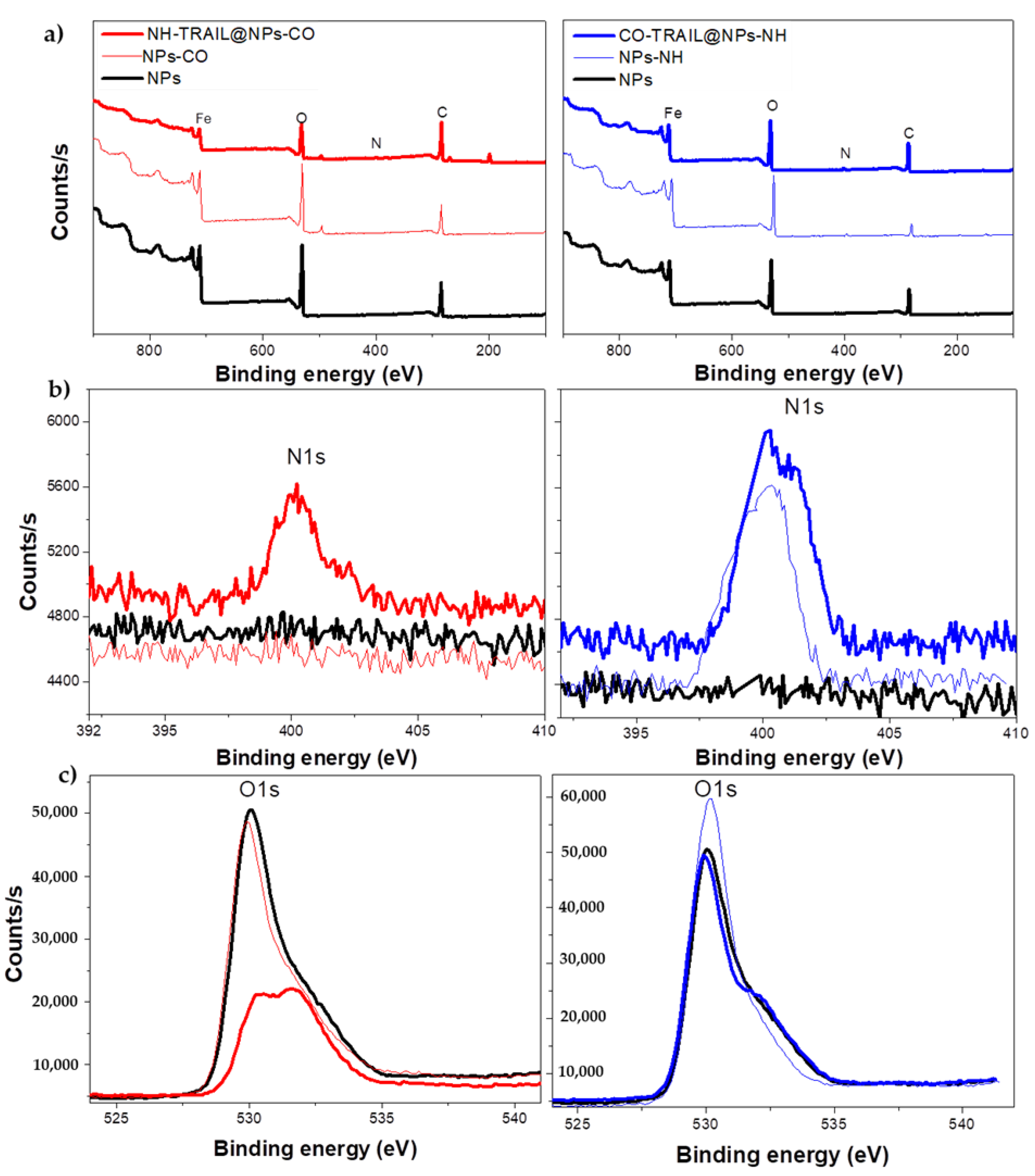Nanomaterials 11 00502 g004