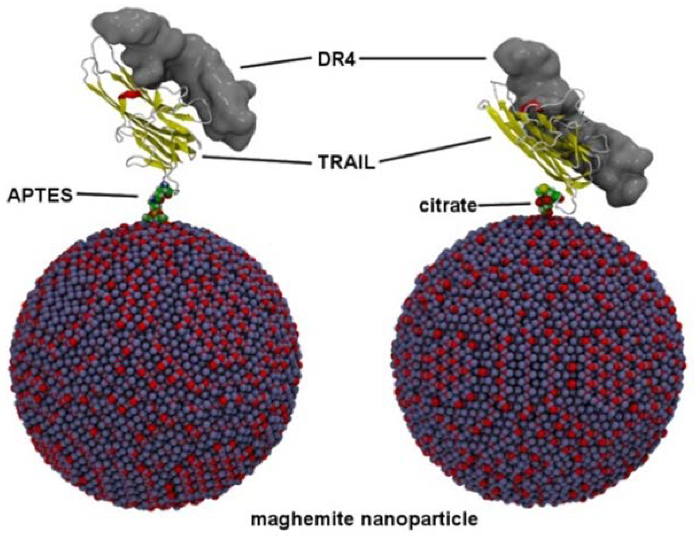 Nanomaterials 11 00502 g008