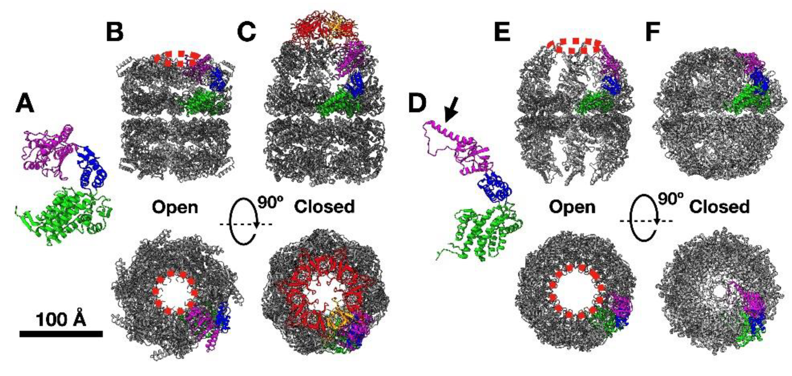 Nanomaterials 11 00503 g001