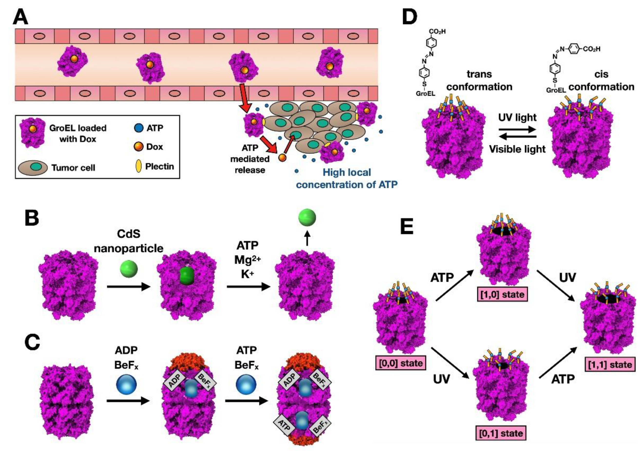 Nanomaterials 11 00503 g002