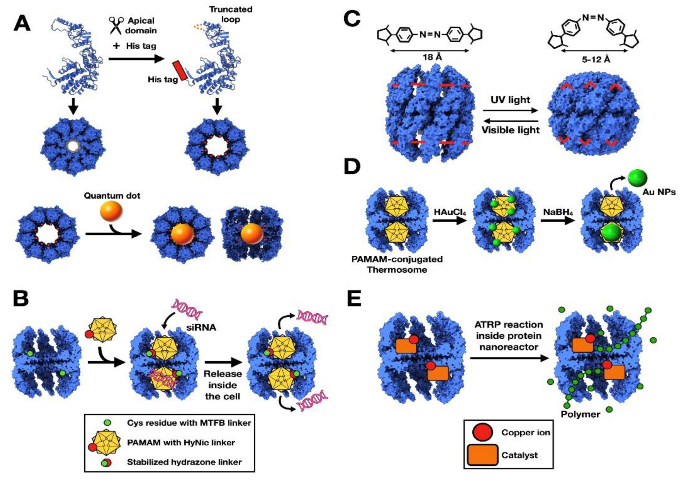 Nanomaterials 11 00503 g003