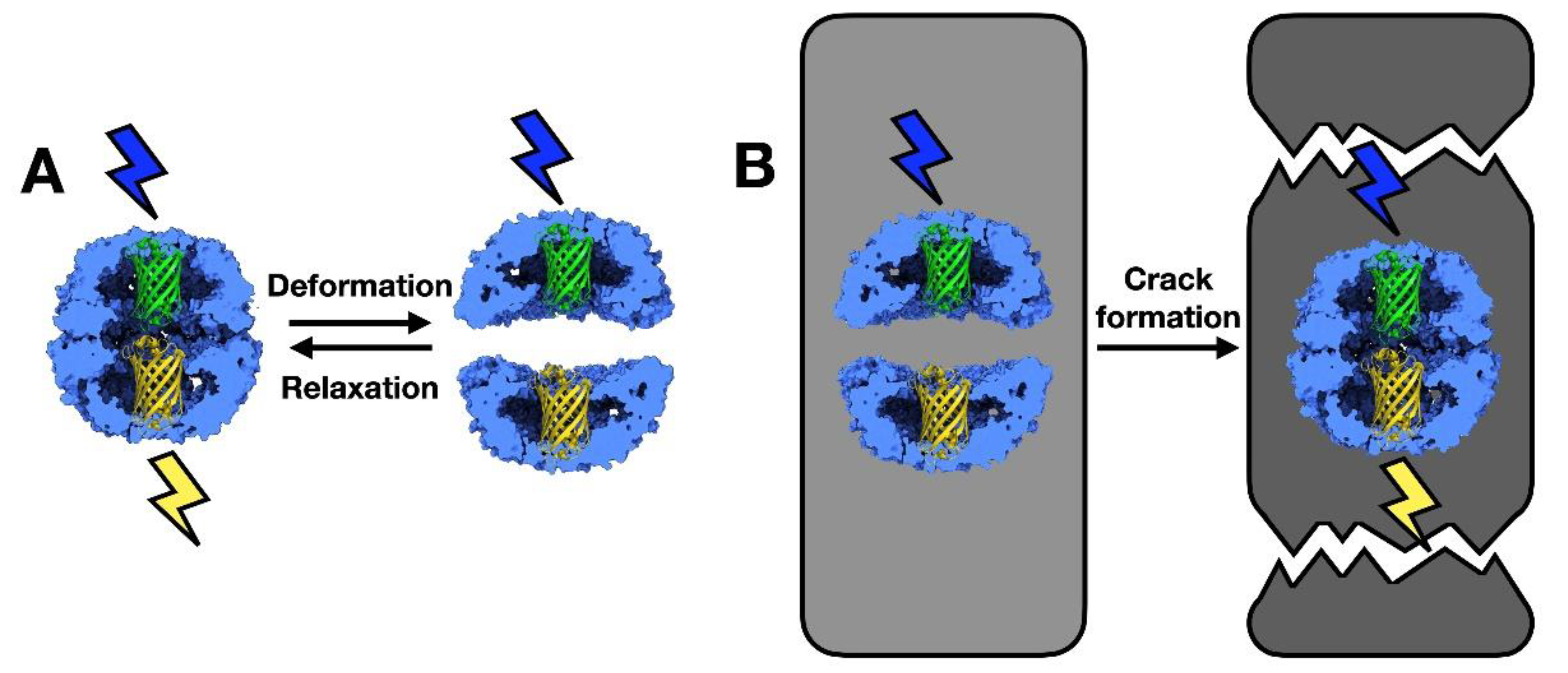 Nanomaterials 11 00503 g004