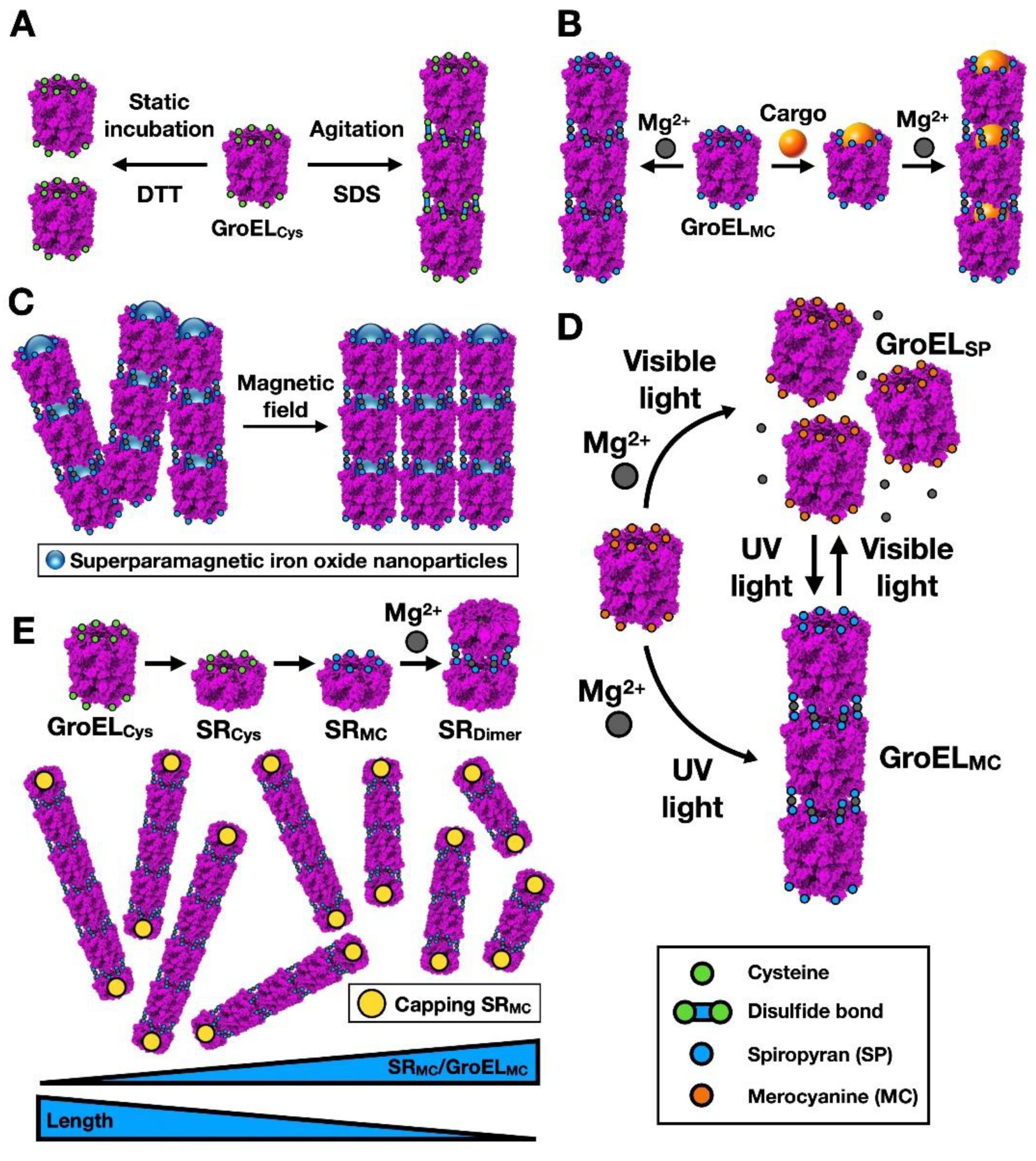 Nanomaterials 11 00503 g005