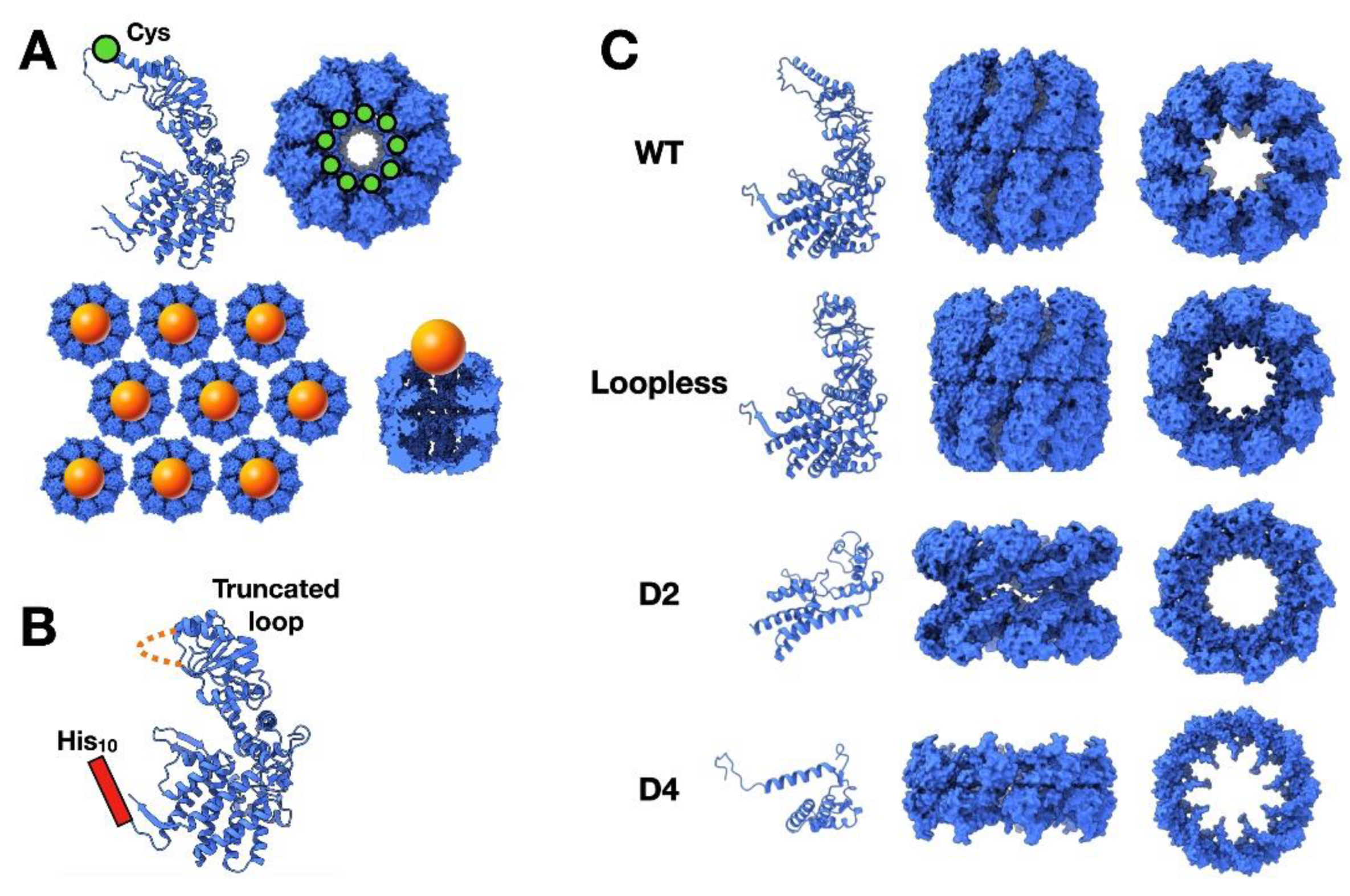 Nanomaterials 11 00503 g006