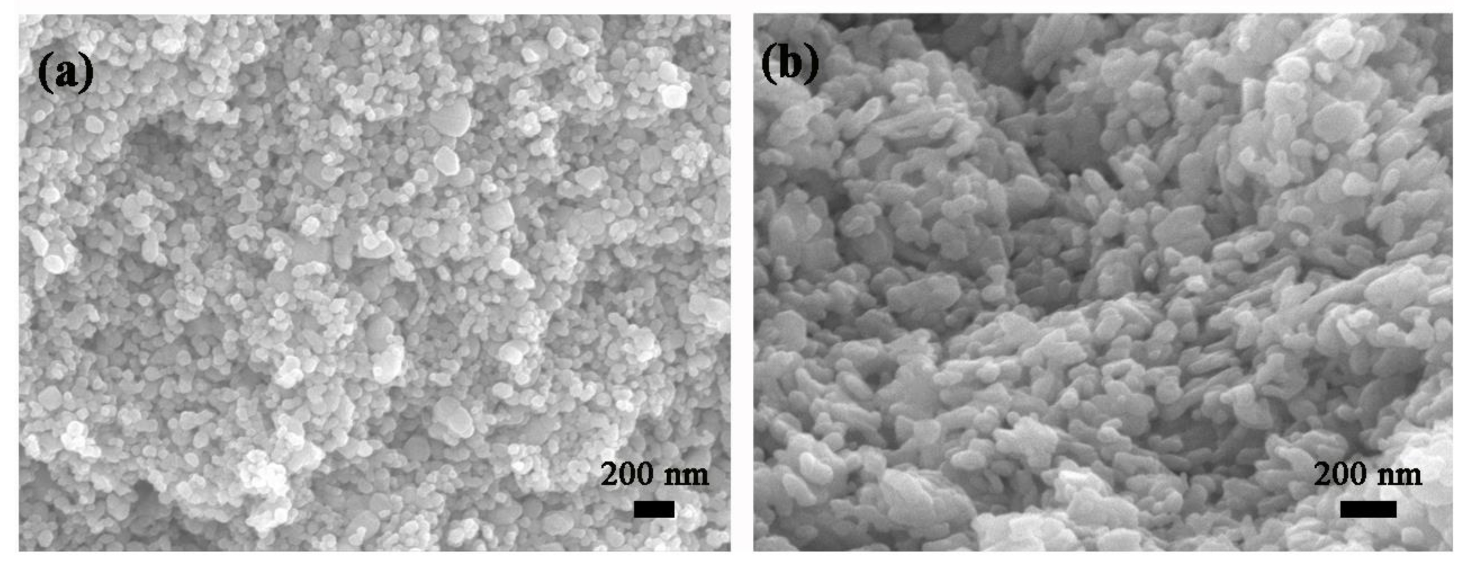 Nanomaterials 11 00504 g002