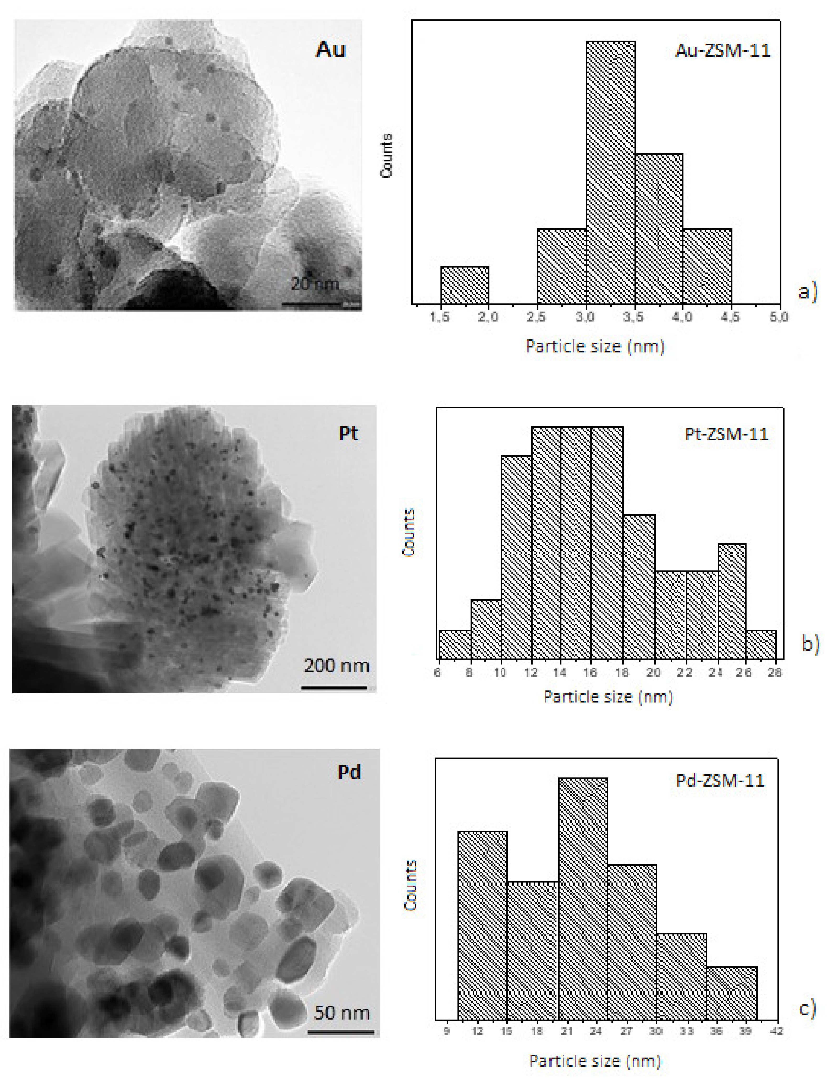 Nanomaterials 11 00510 g003 Nanomaterials 11 00510 g003