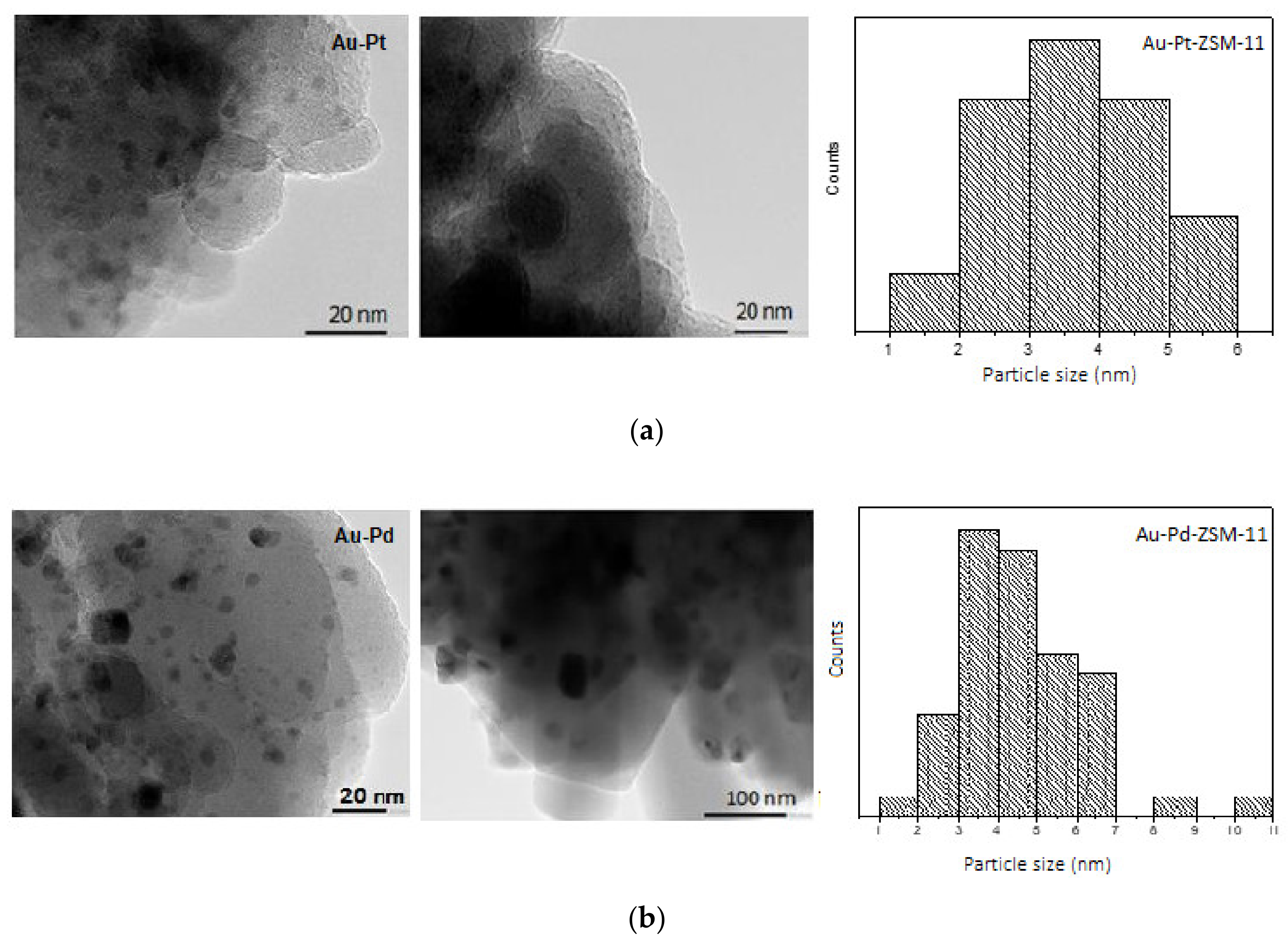 Nanomaterials 11 00510 g004 Nanomaterials 11 00510 g004
