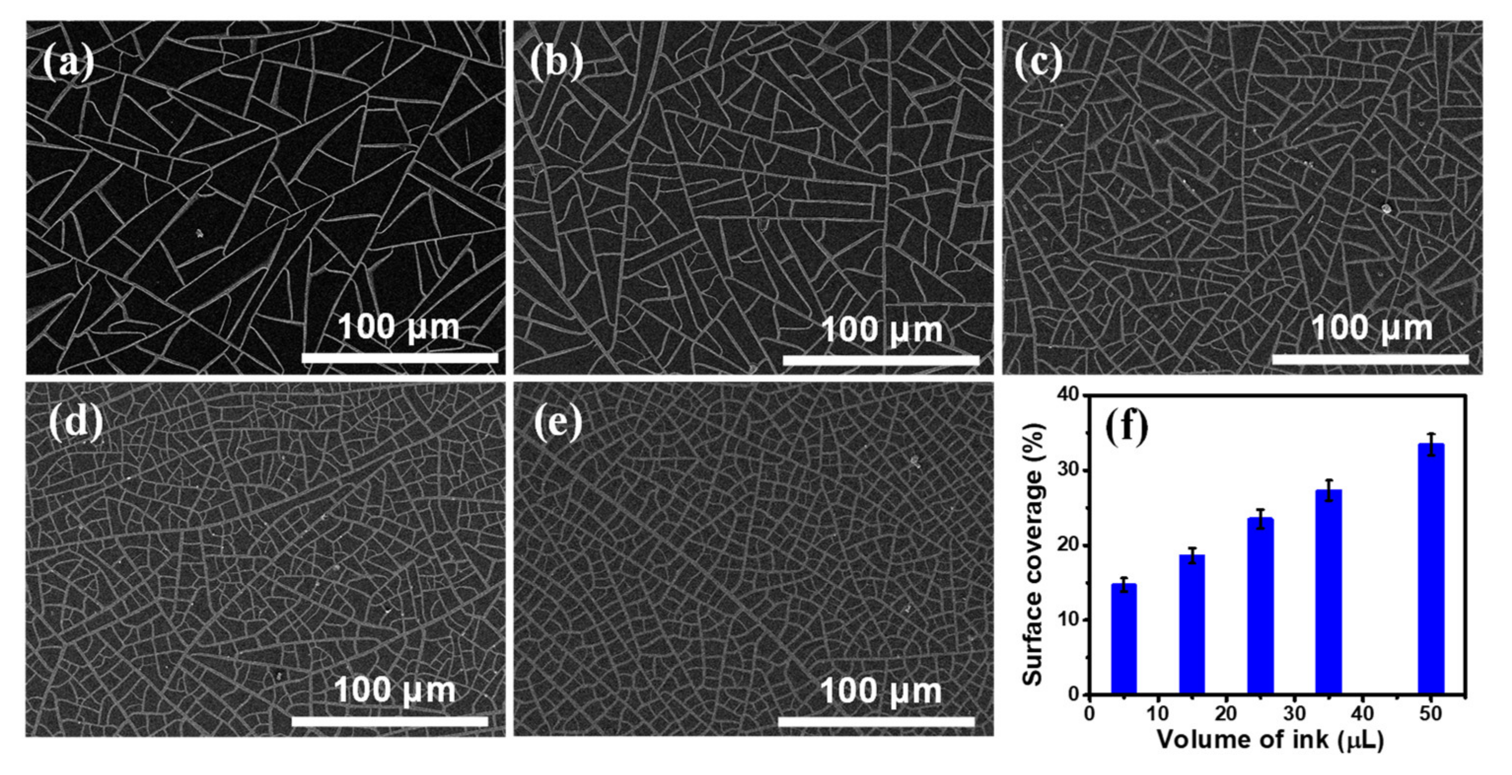 Nanomaterials 11 00511 g001