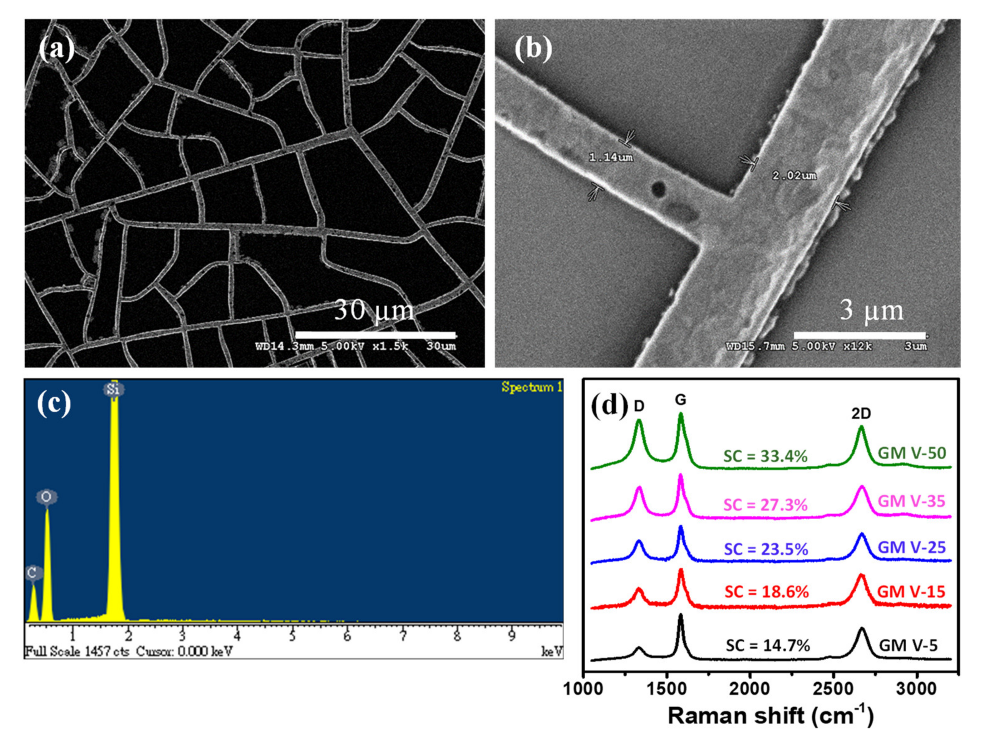 Nanomaterials 11 00511 g002