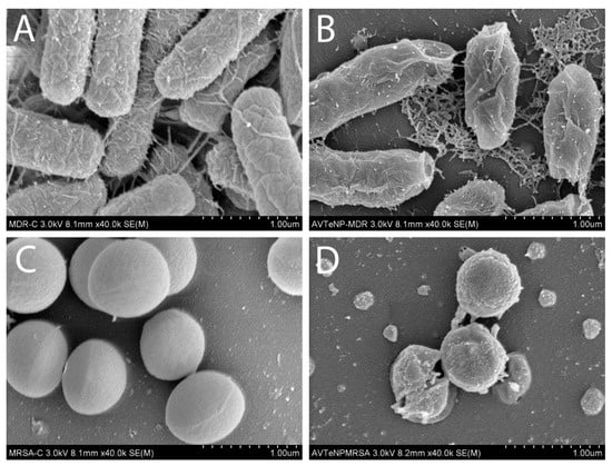 Nanomaterials 11 00514 g0a12