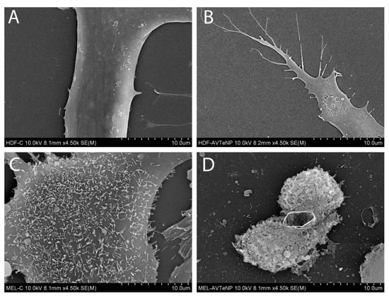 Nanomaterials 11 00514 g0a13