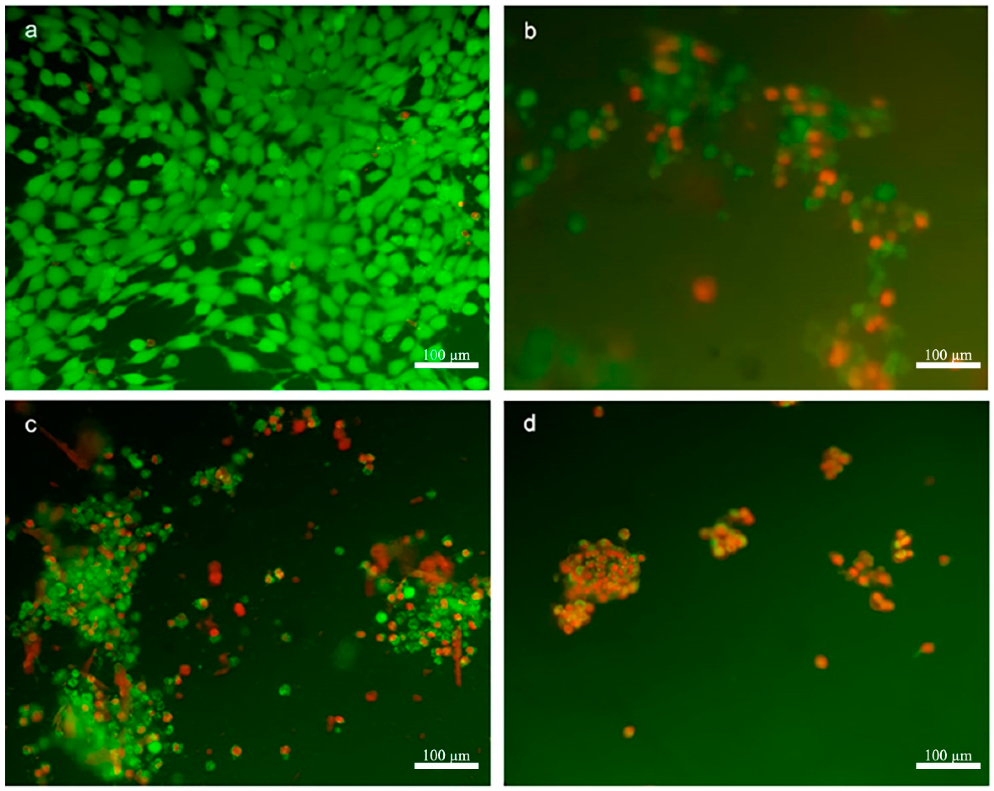 Nanomaterials 11 00515 g003 Nanomaterials 11 00515 g003