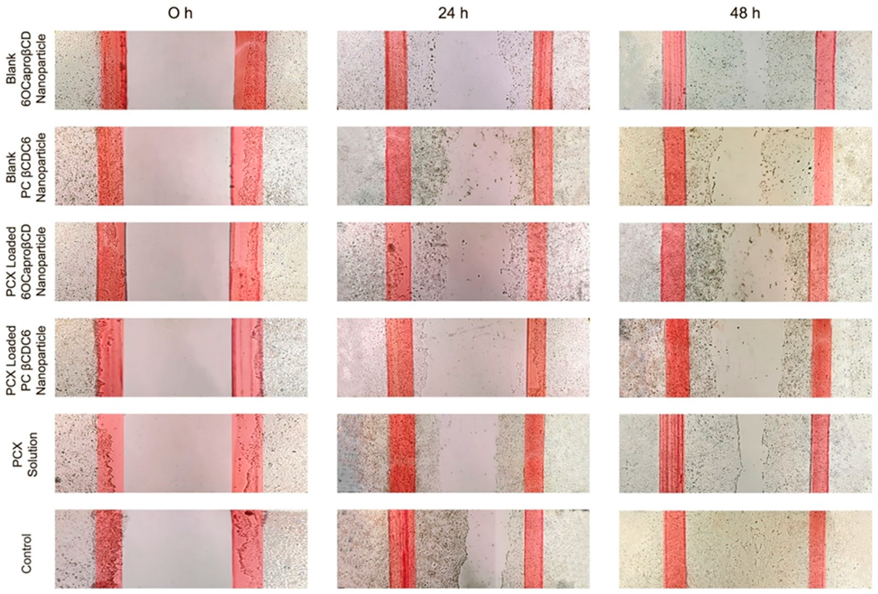 Nanomaterials 11 00515 g004 Nanomaterials 11 00515 g004