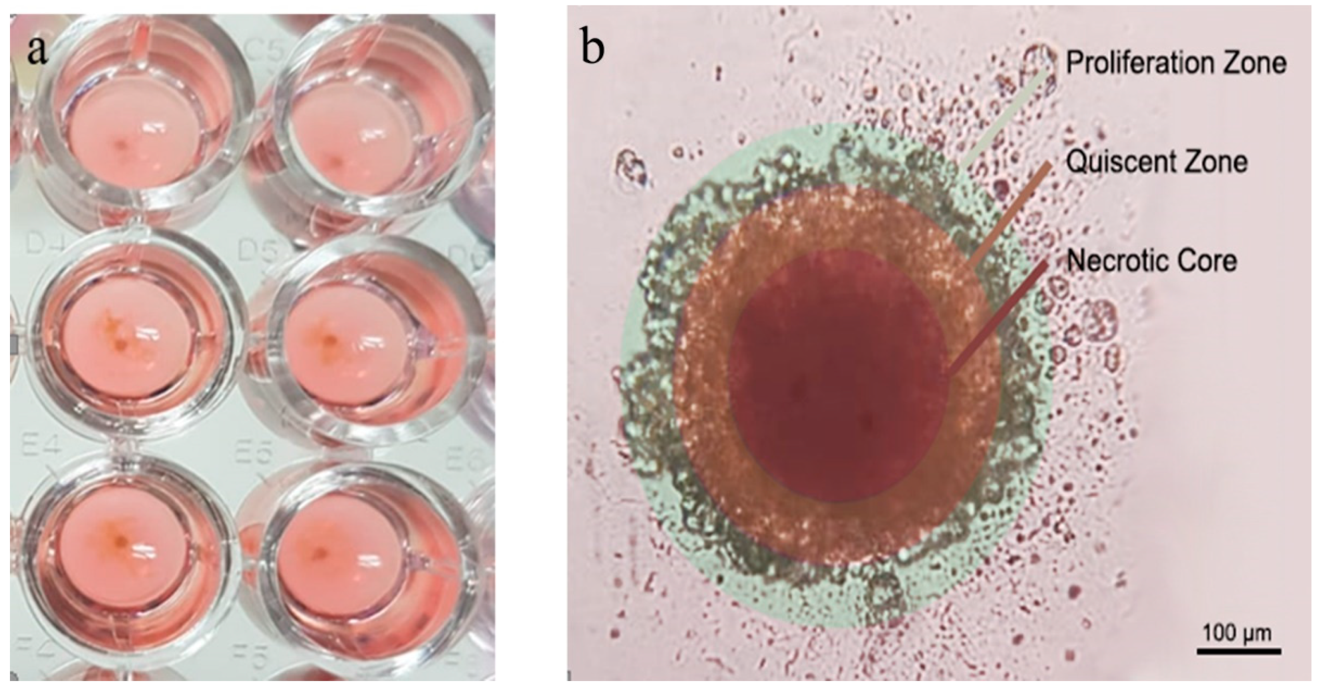 Nanomaterials 11 00515 g005 Nanomaterials 11 00515 g005