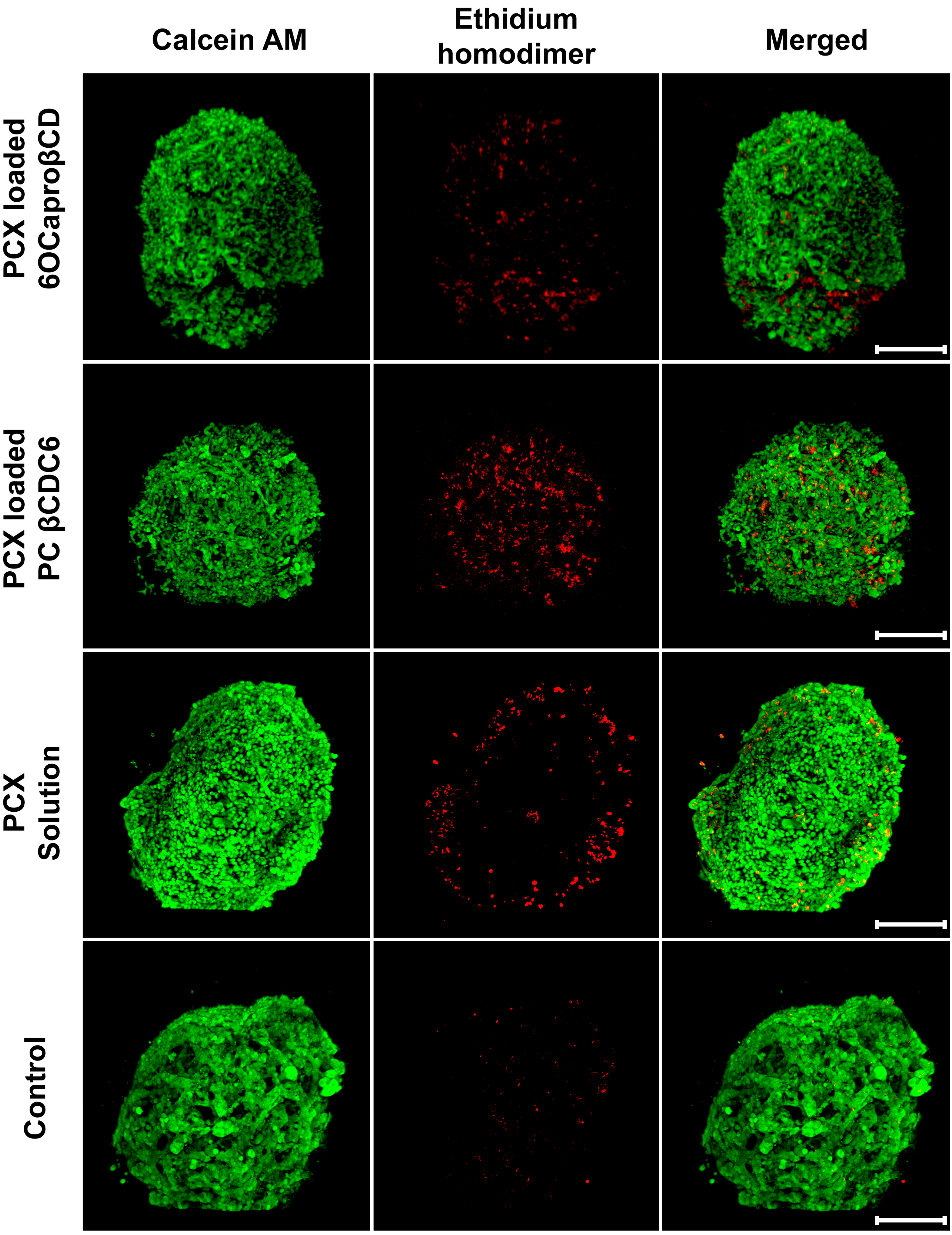 Nanomaterials 11 00515 g007 Nanomaterials 11 00515 g007