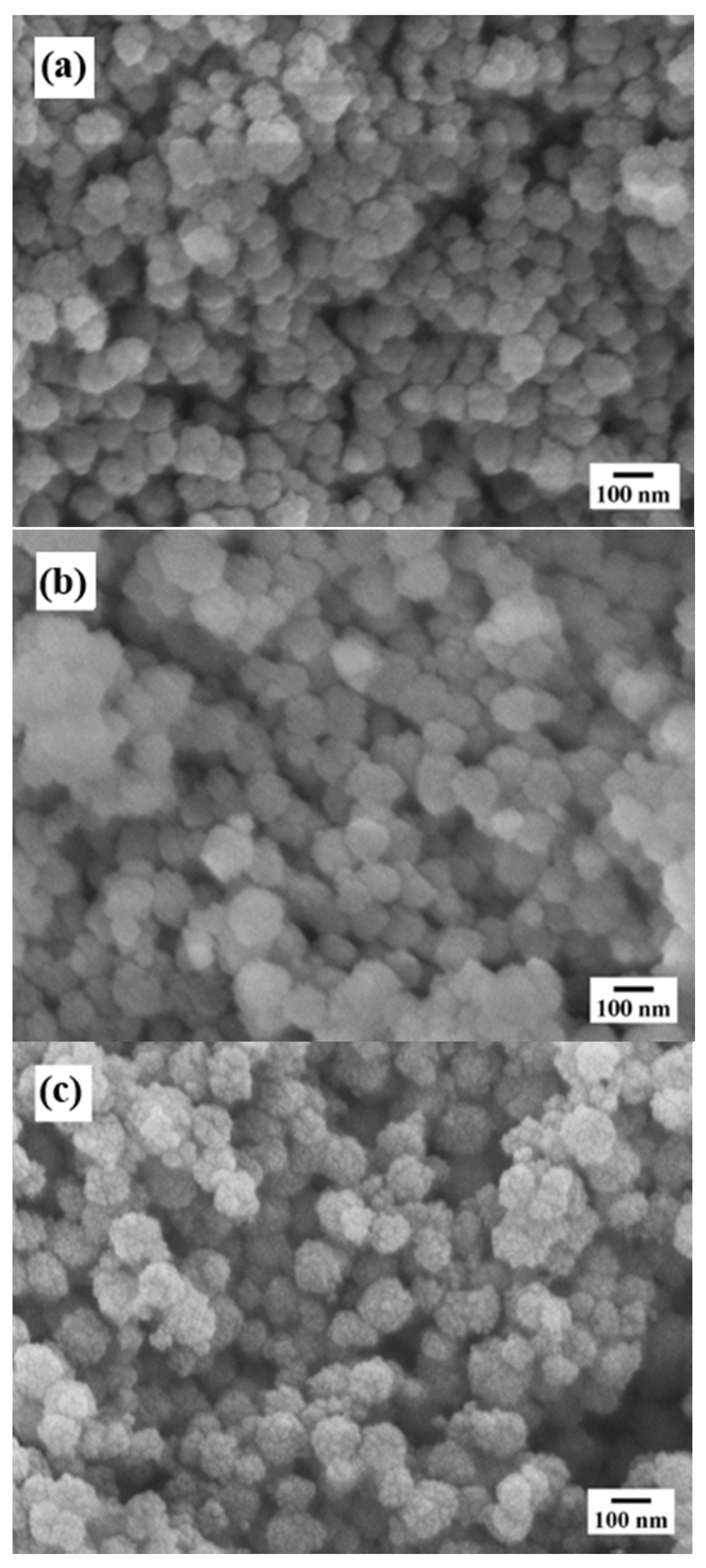 Nanomaterials 11 00521 g005