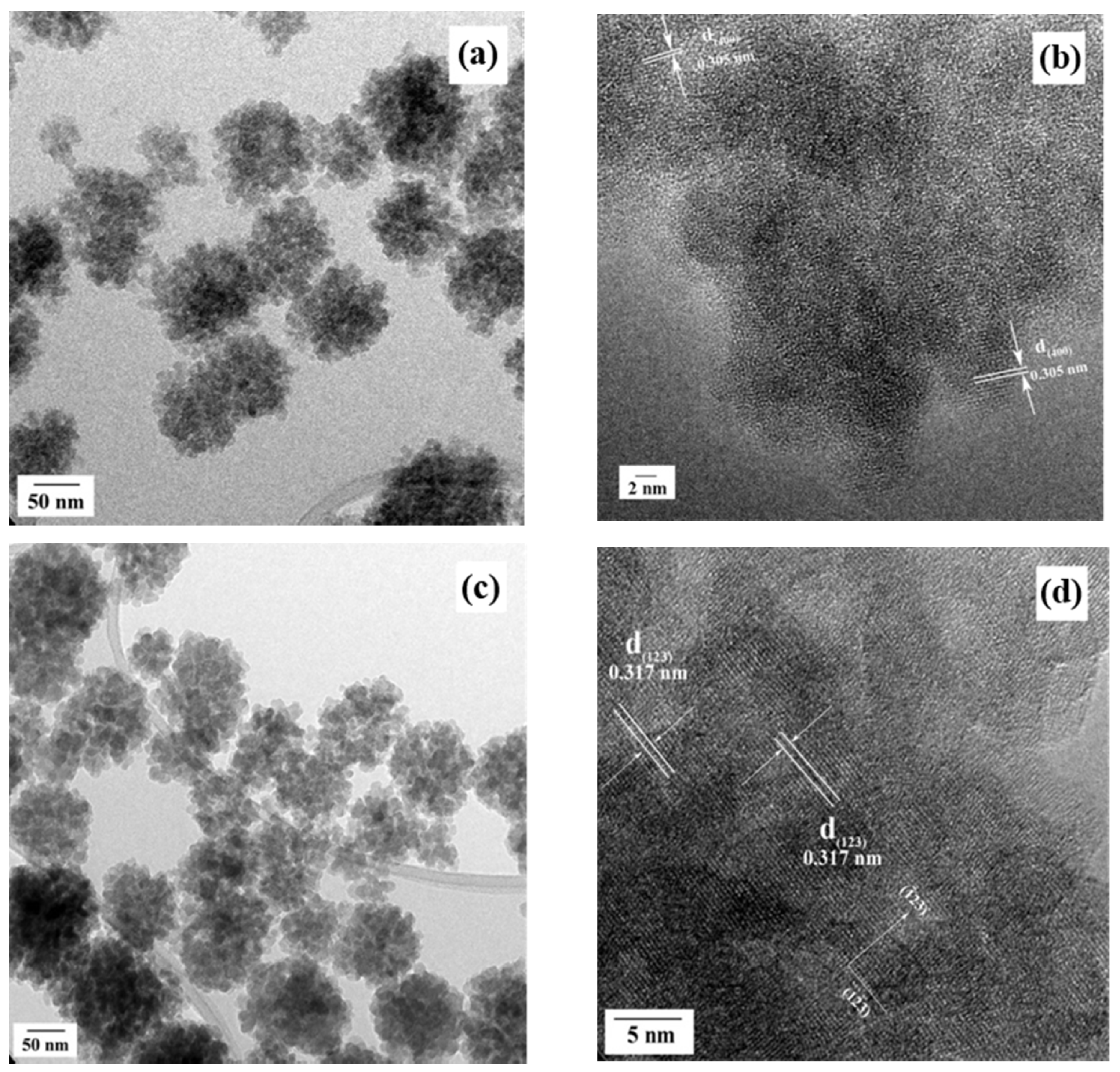 Nanomaterials 11 00521 g006