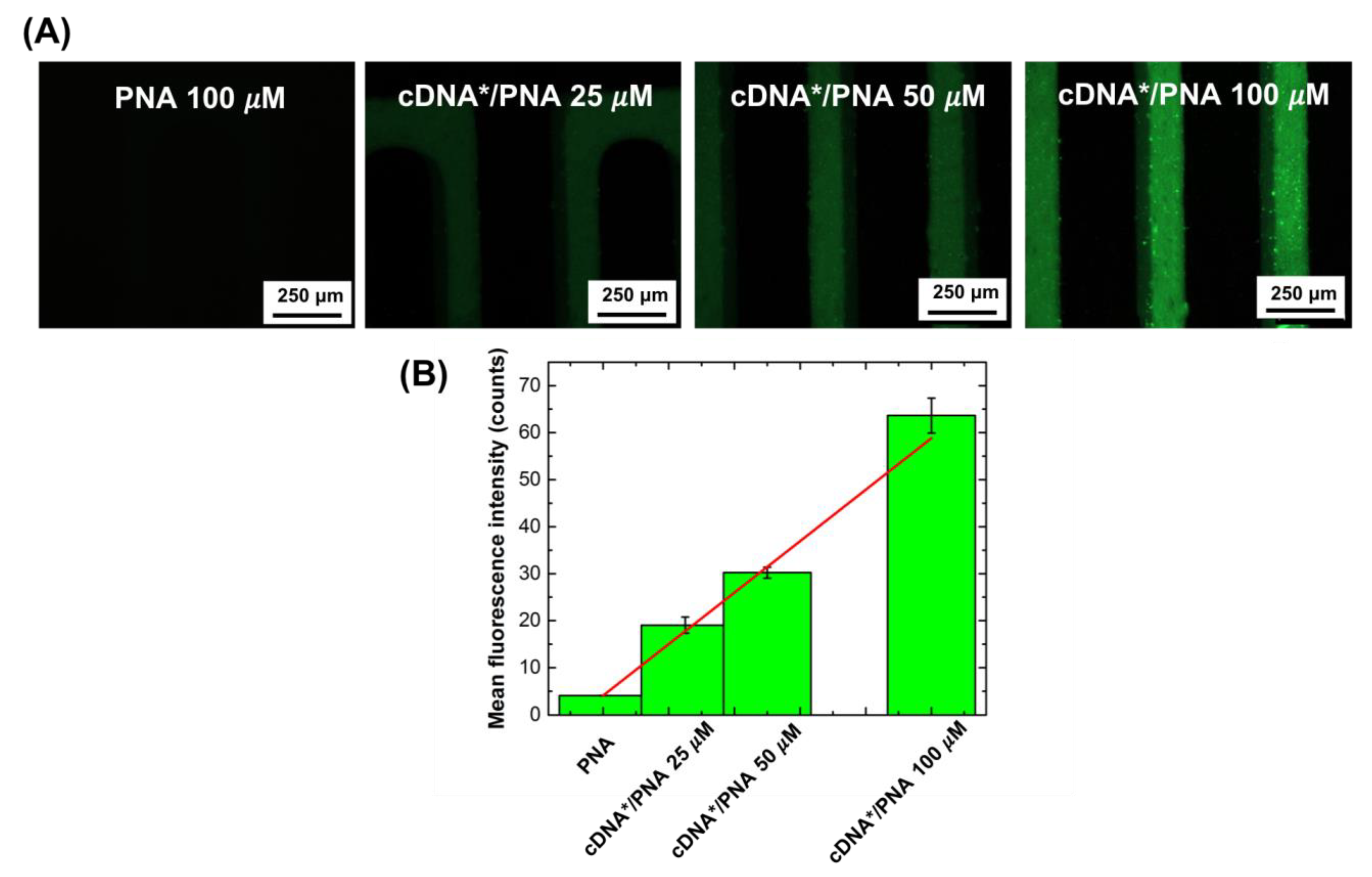 Nanomaterials 11 00523 g006 Nanomaterials 11 00523 g006