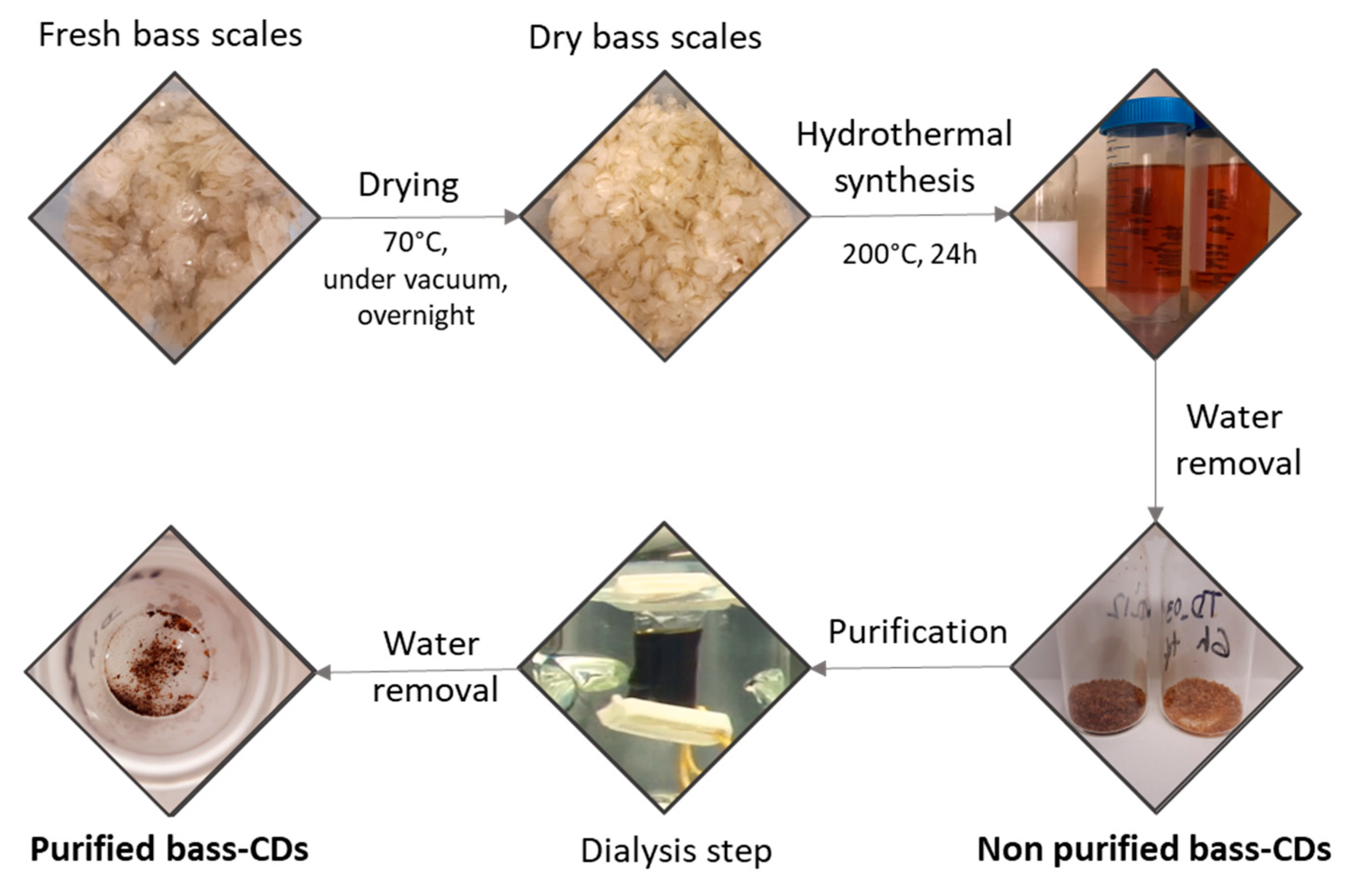 Nanomaterials 11 00524 g001