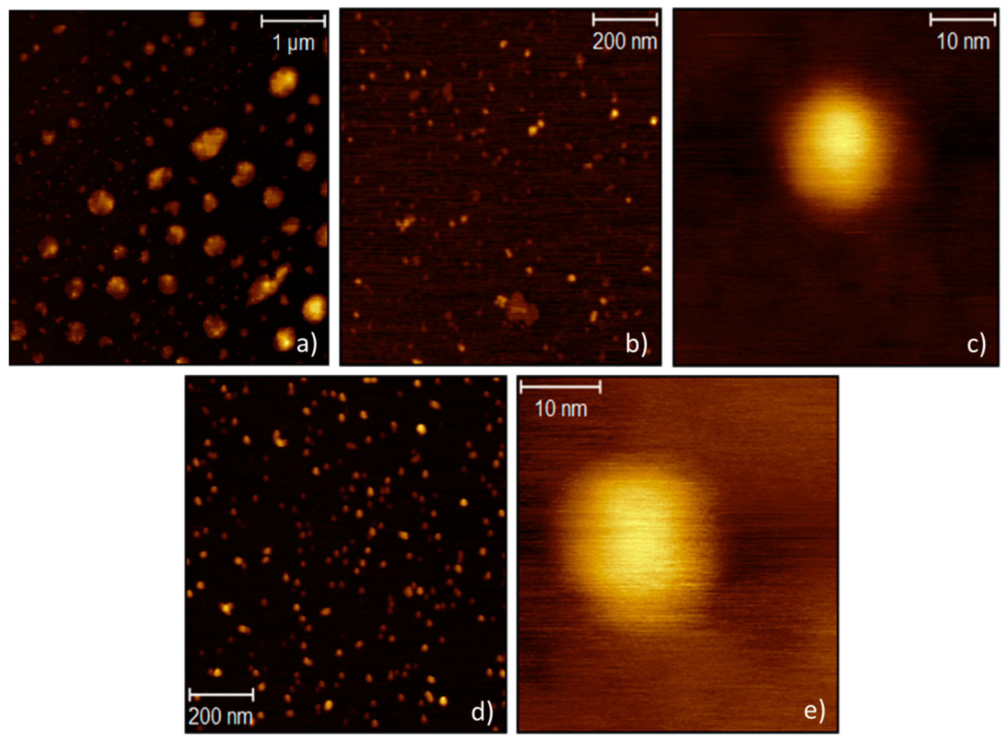 Nanomaterials 11 00524 g002