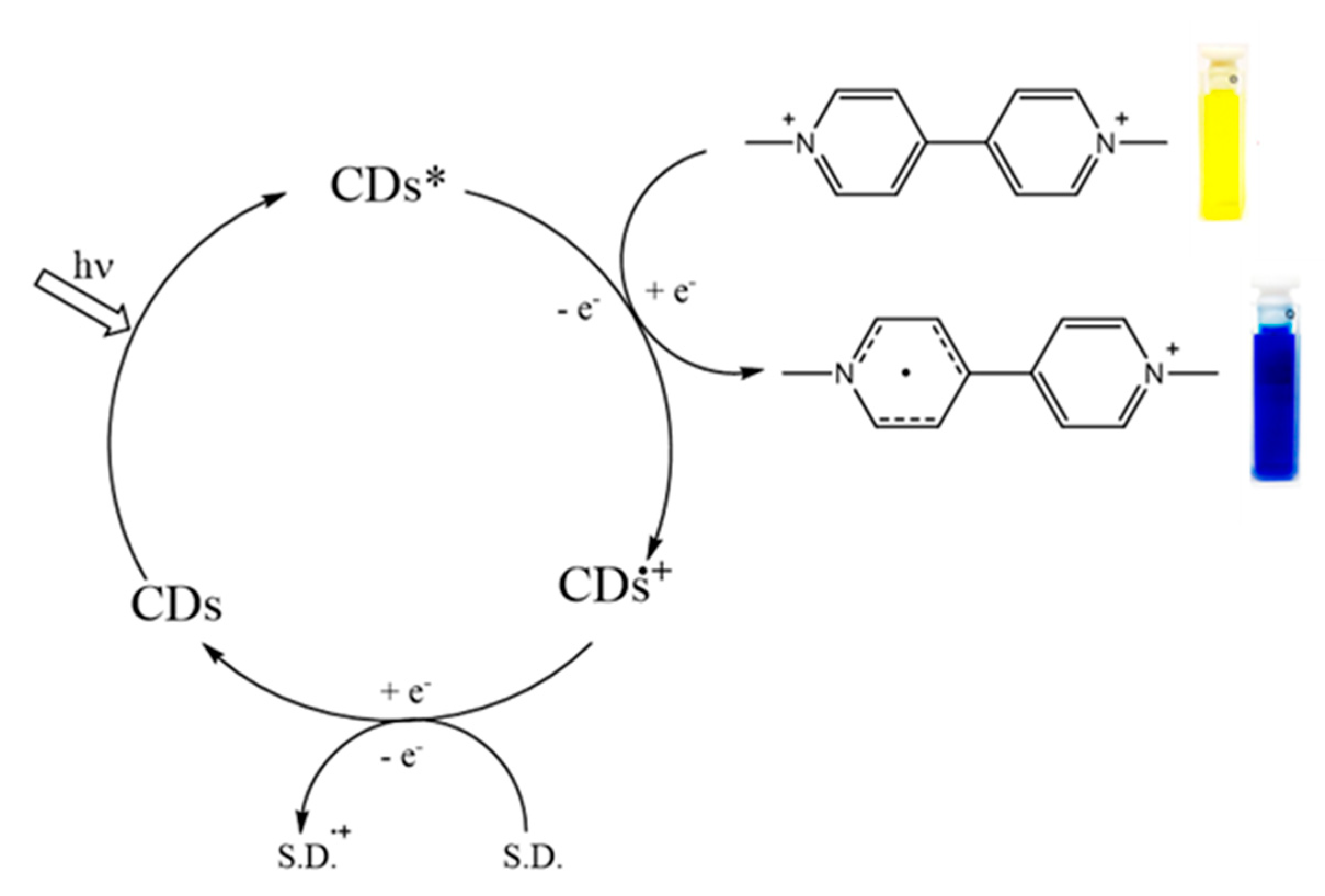 Nanomaterials 11 00524 g006