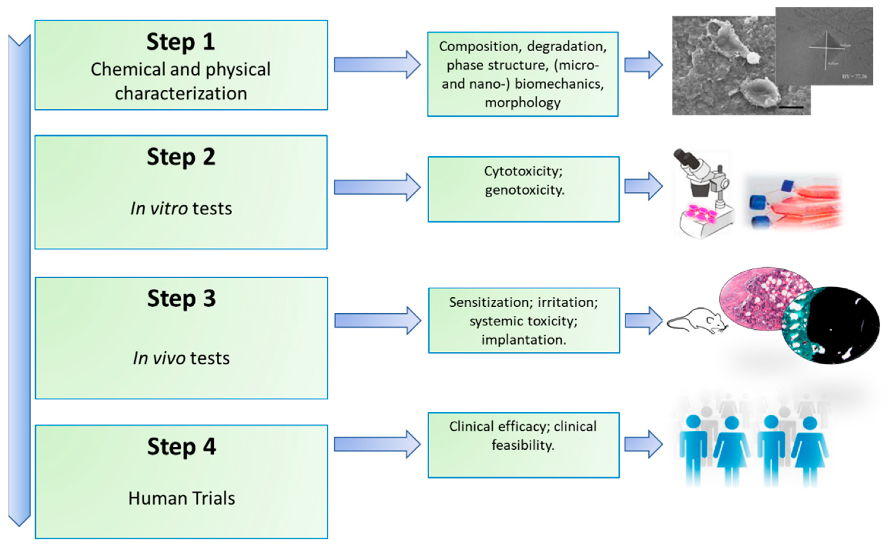 Nanomaterials 11 00530 g001