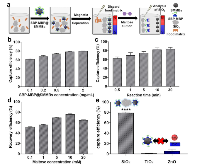 Nanomaterials 11 00532 g003