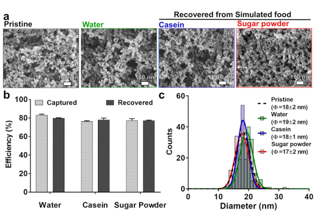 Nanomaterials 11 00532 g004