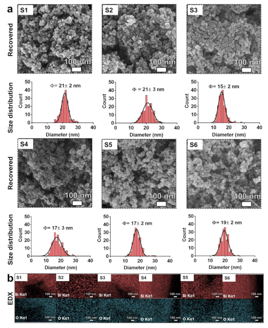 Nanomaterials 11 00532 g005