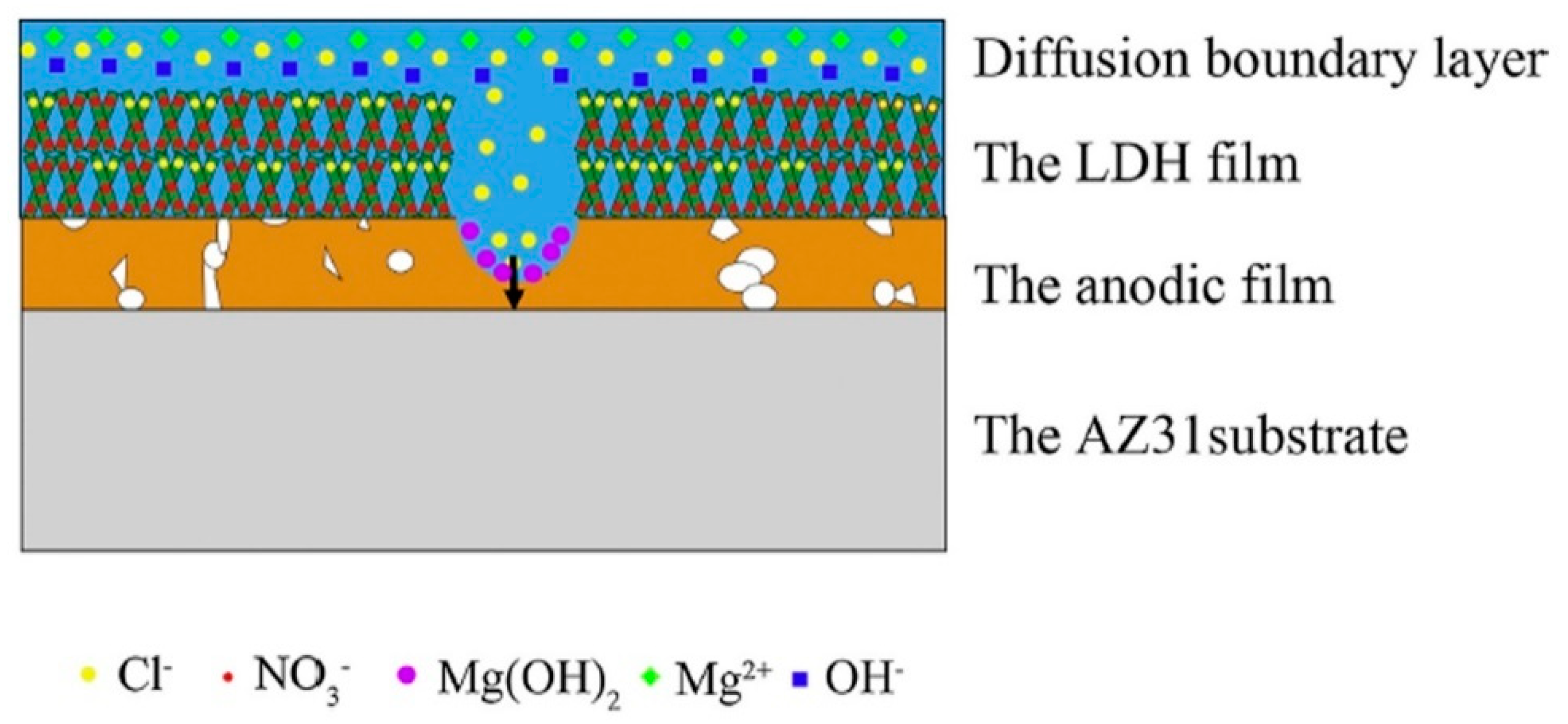Nanomaterials 11 00536 g004 Nanomaterials 11 00536 g004