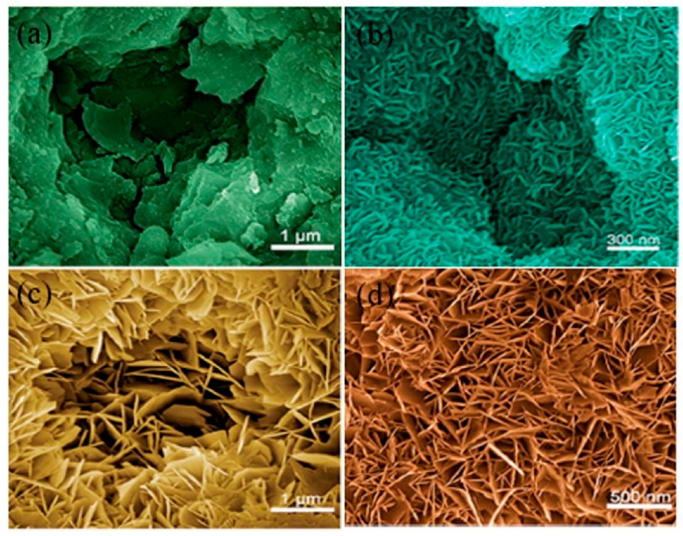 Nanomaterials 11 00536 g005 Nanomaterials 11 00536 g005