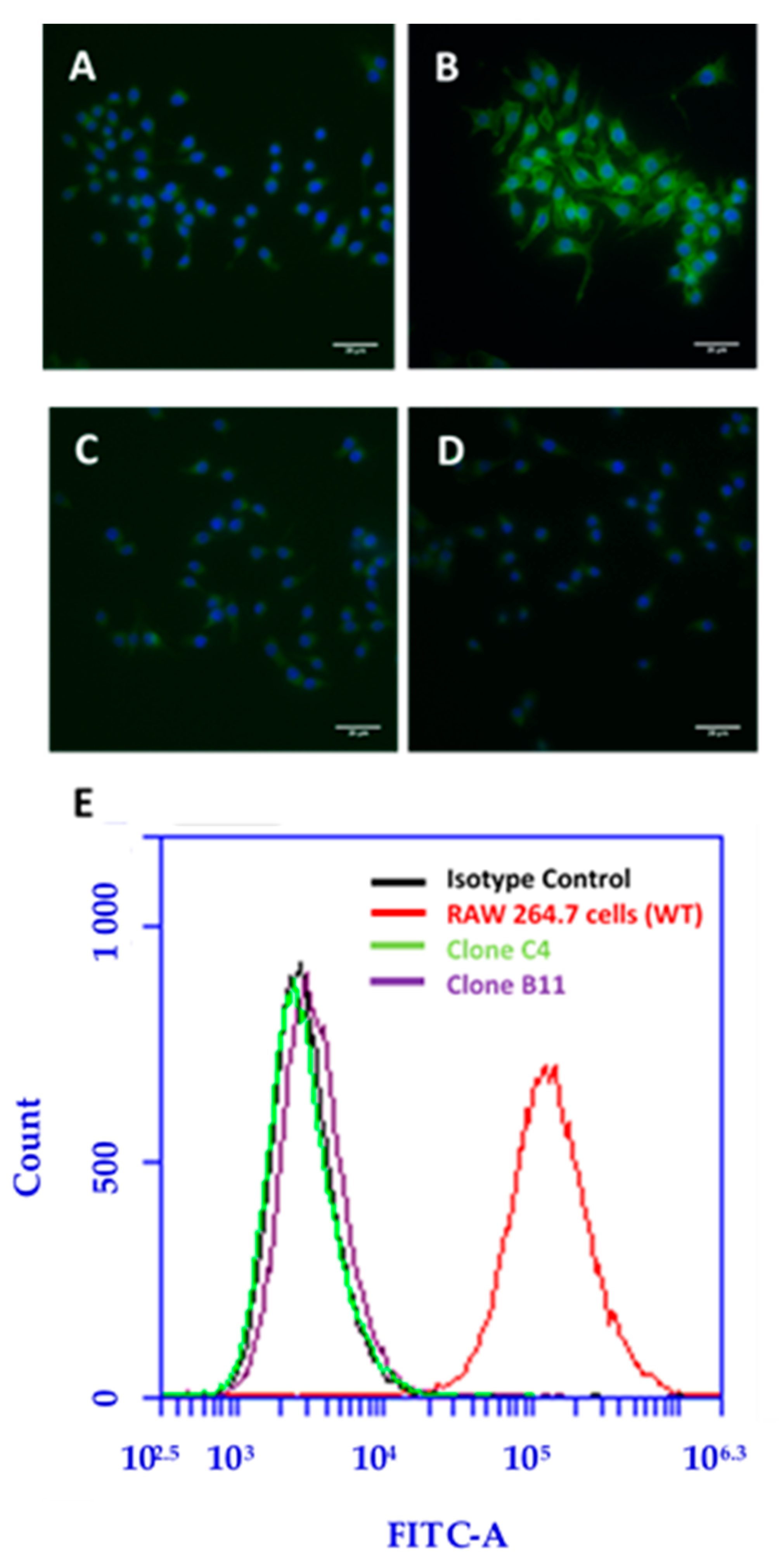 Nanomaterials 11 00539 g007