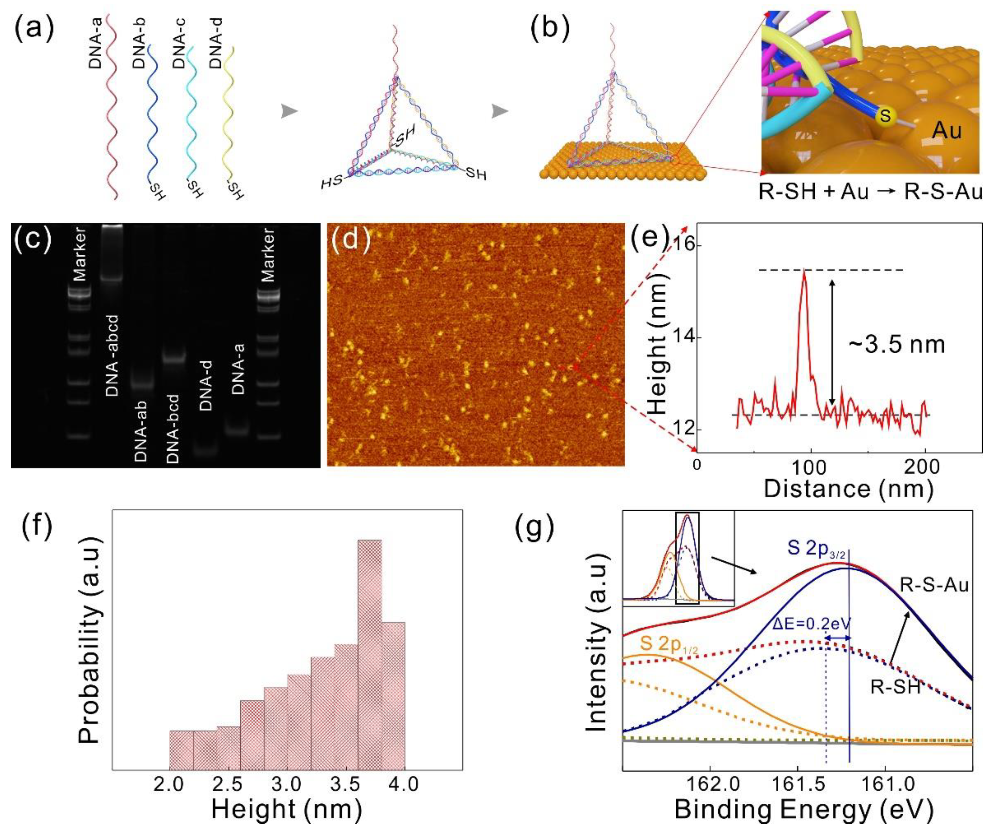 Nanomaterials 11 00545 g002 Nanomaterials 11 00545 g002