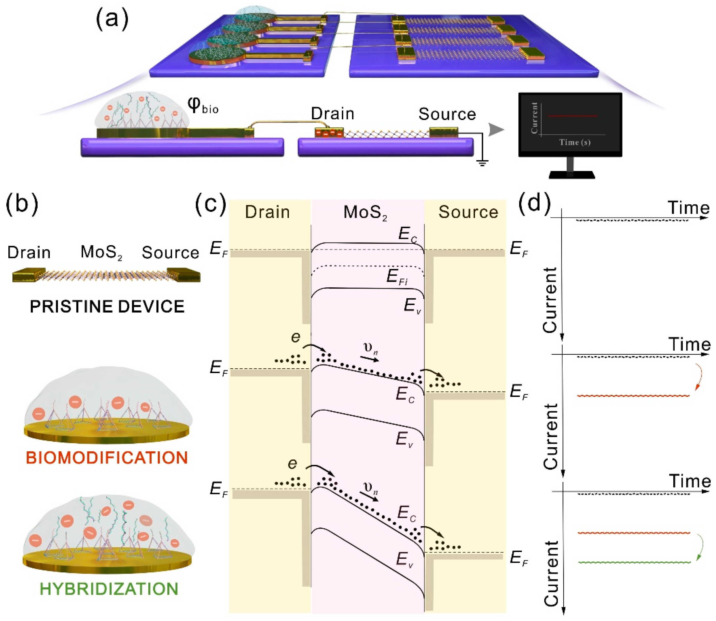 Nanomaterials 11 00545 g003 Nanomaterials 11 00545 g003