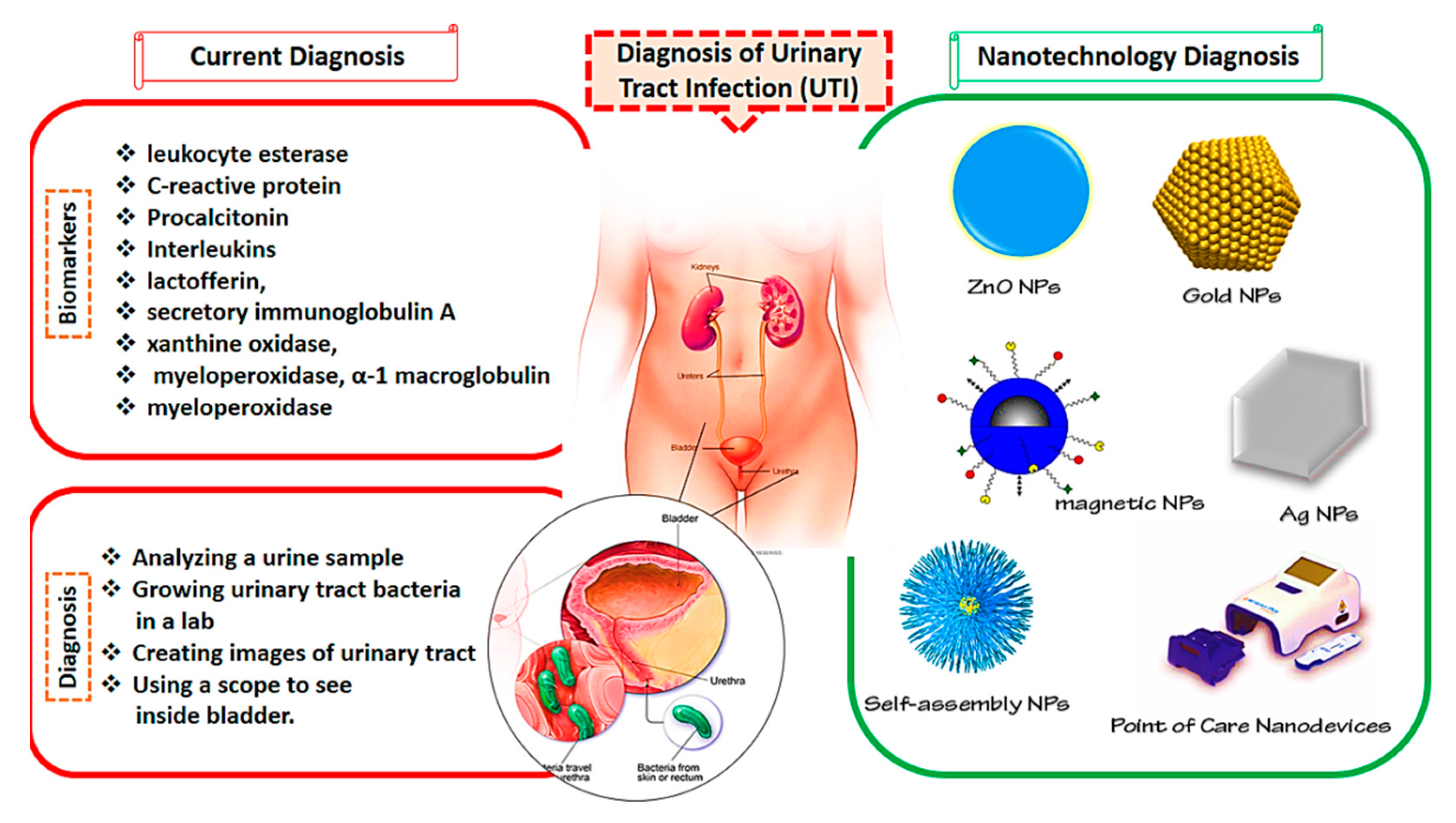 Nanomaterials 11 00546 g001 Nanomaterials 11 00546 g001