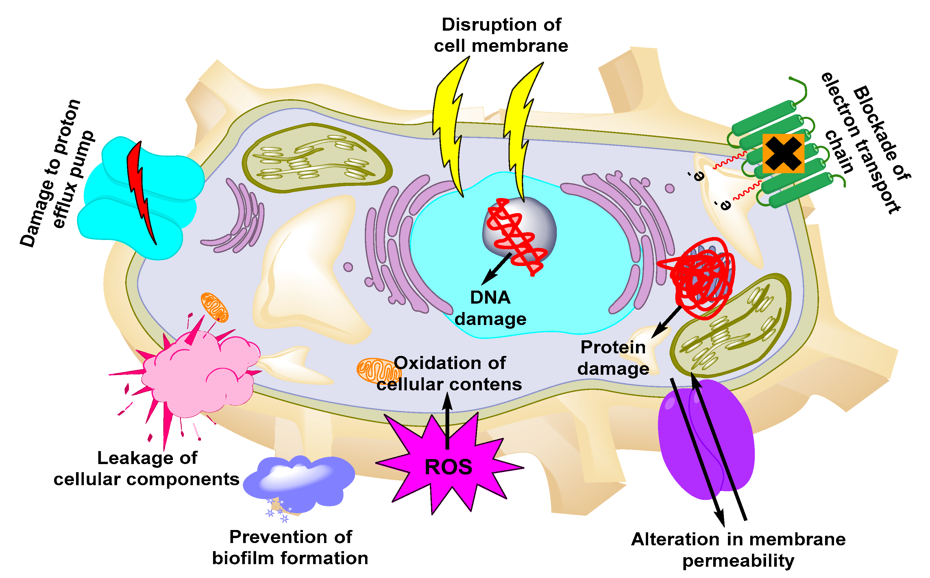 Nanomaterials 11 00546 g002 Nanomaterials 11 00546 g002