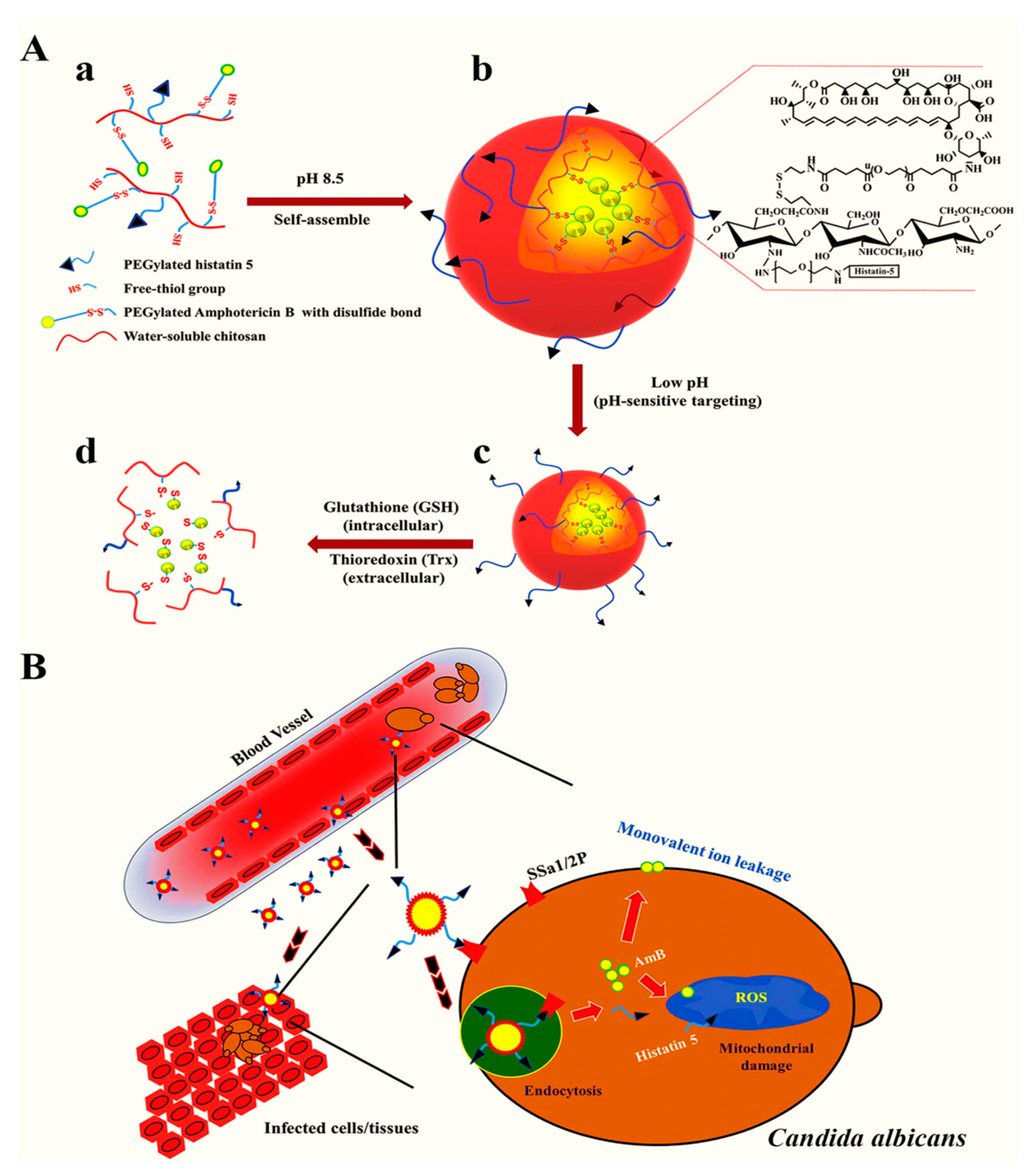 Nanomaterials 11 00546 g003 Nanomaterials 11 00546 g003