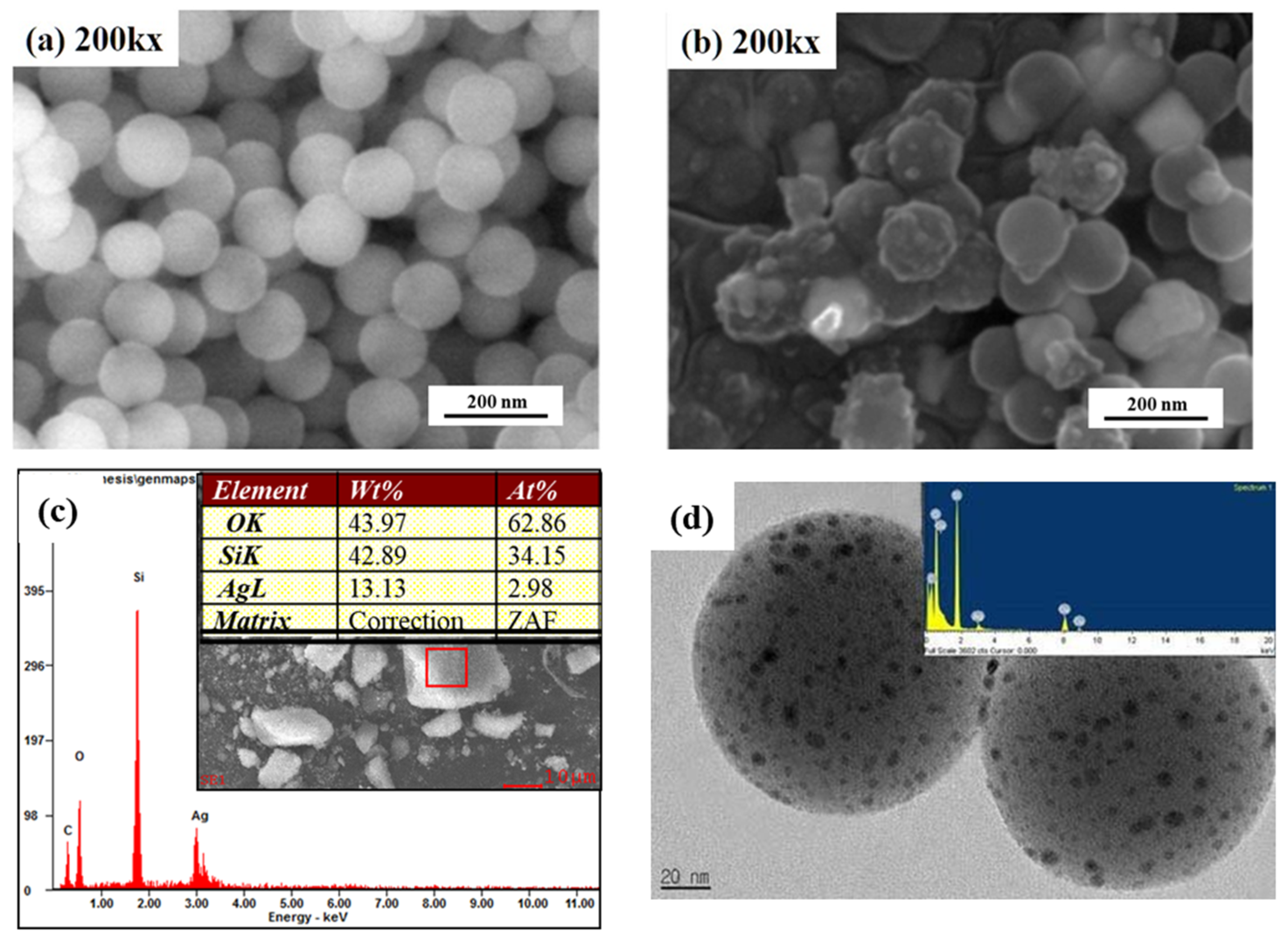 Nanomaterials 11 00549 g002