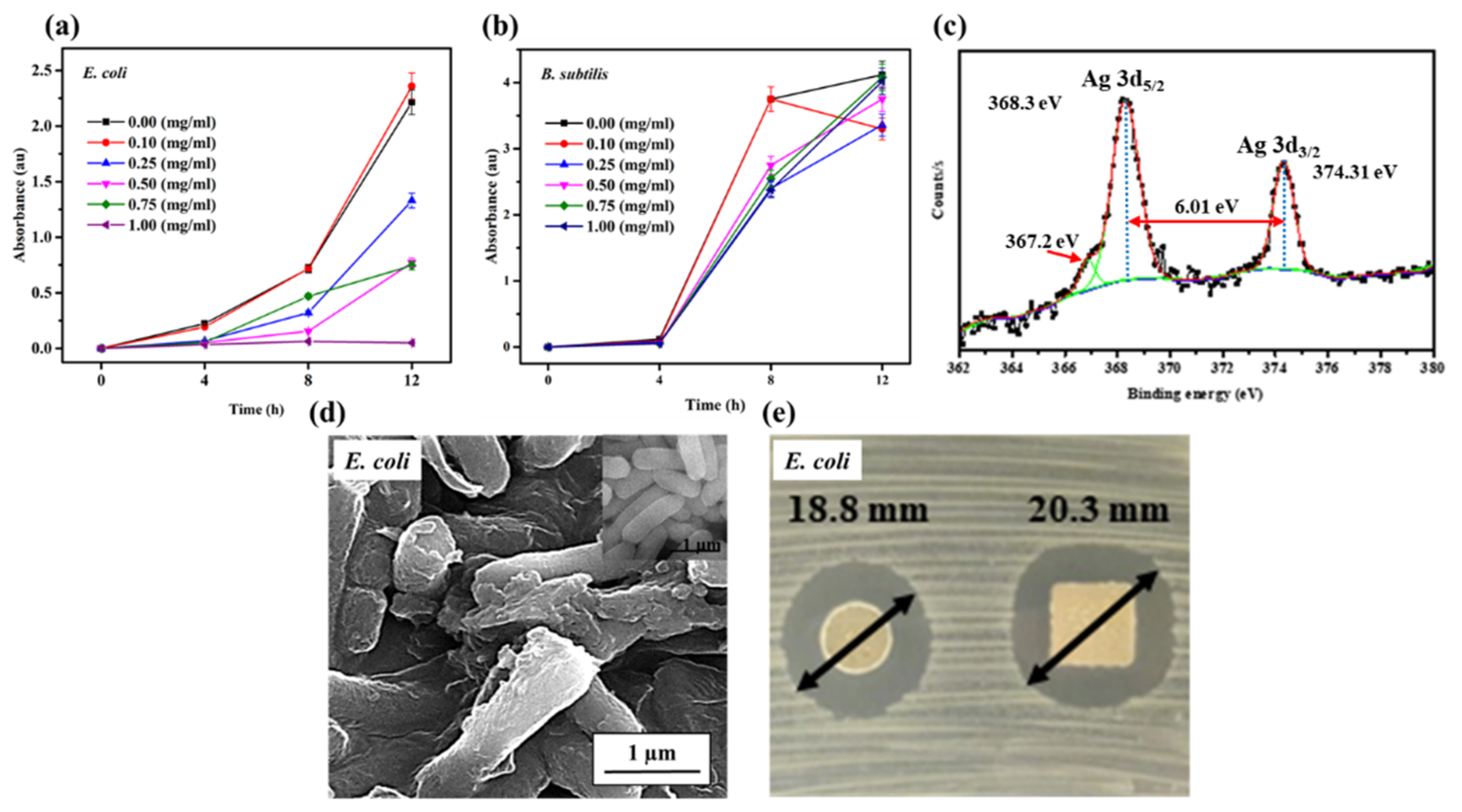 Nanomaterials 11 00549 g004