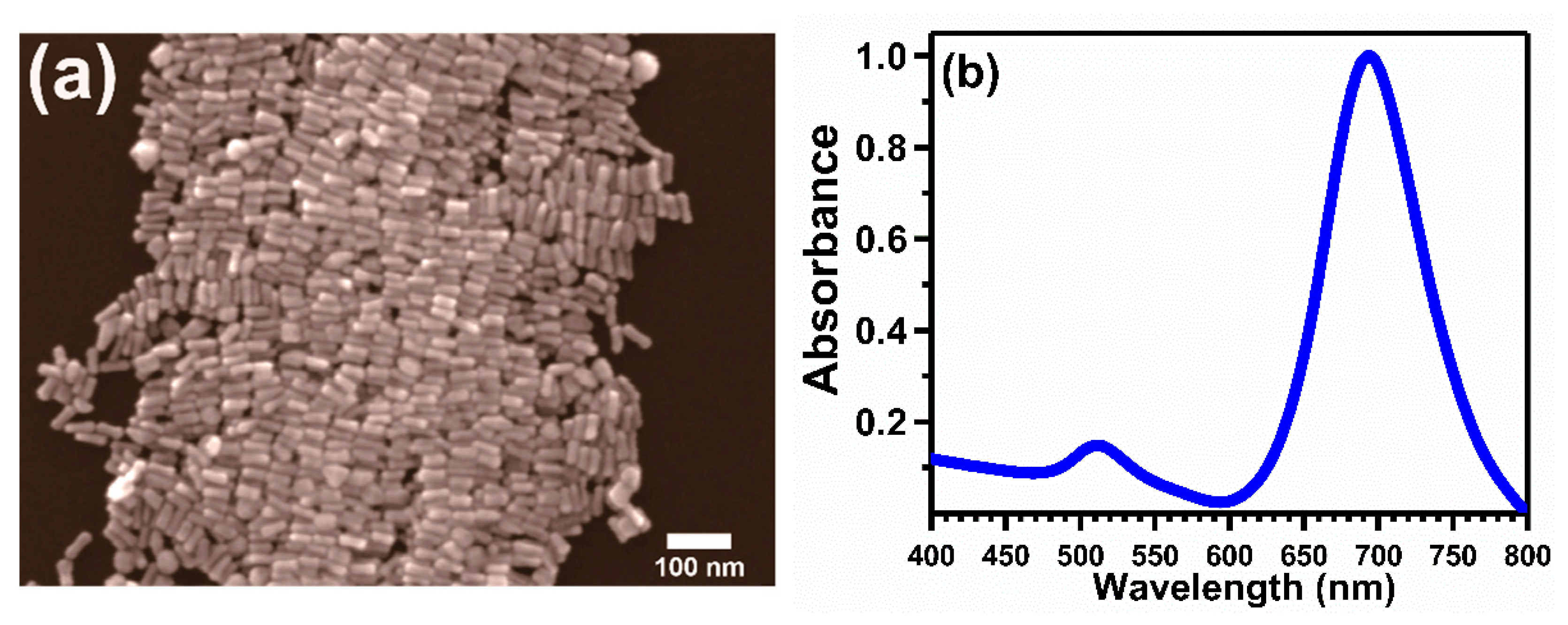 Nanomaterials 11 00554 g001