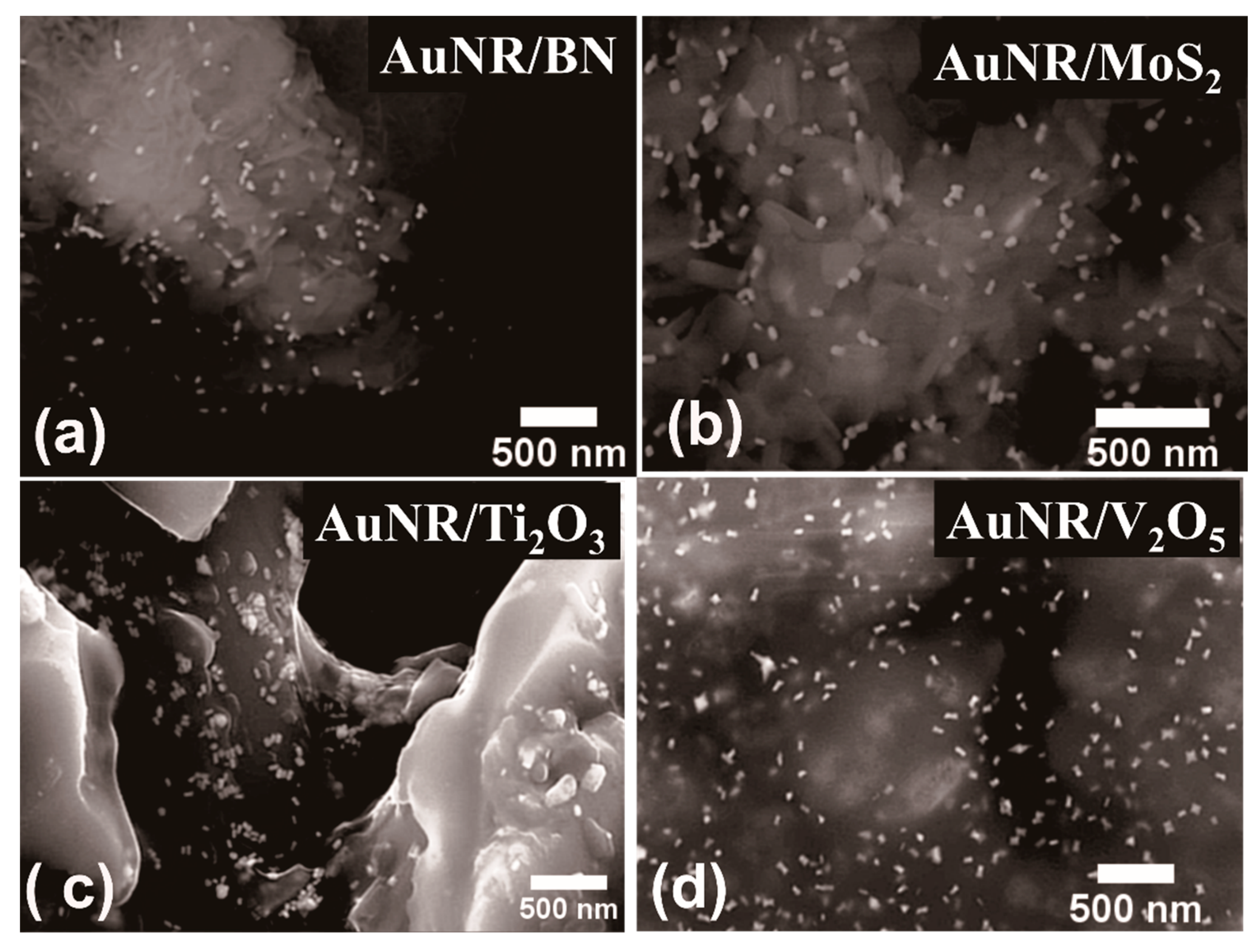 Nanomaterials 11 00554 g002
