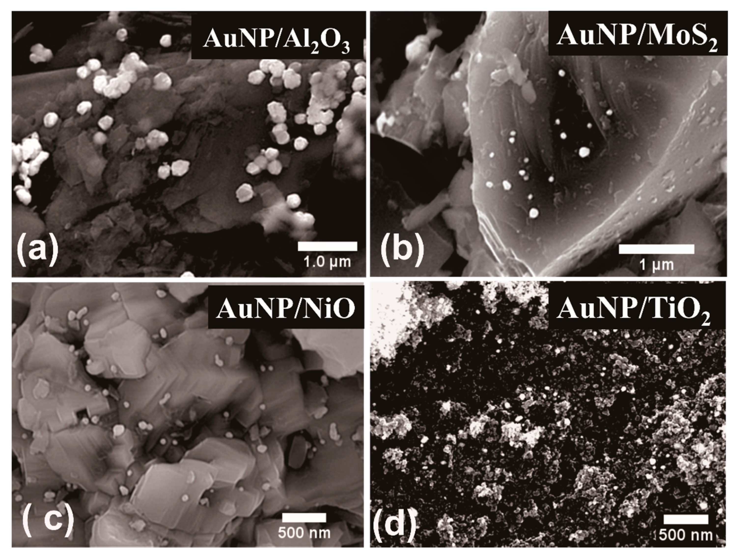 Nanomaterials 11 00554 g003