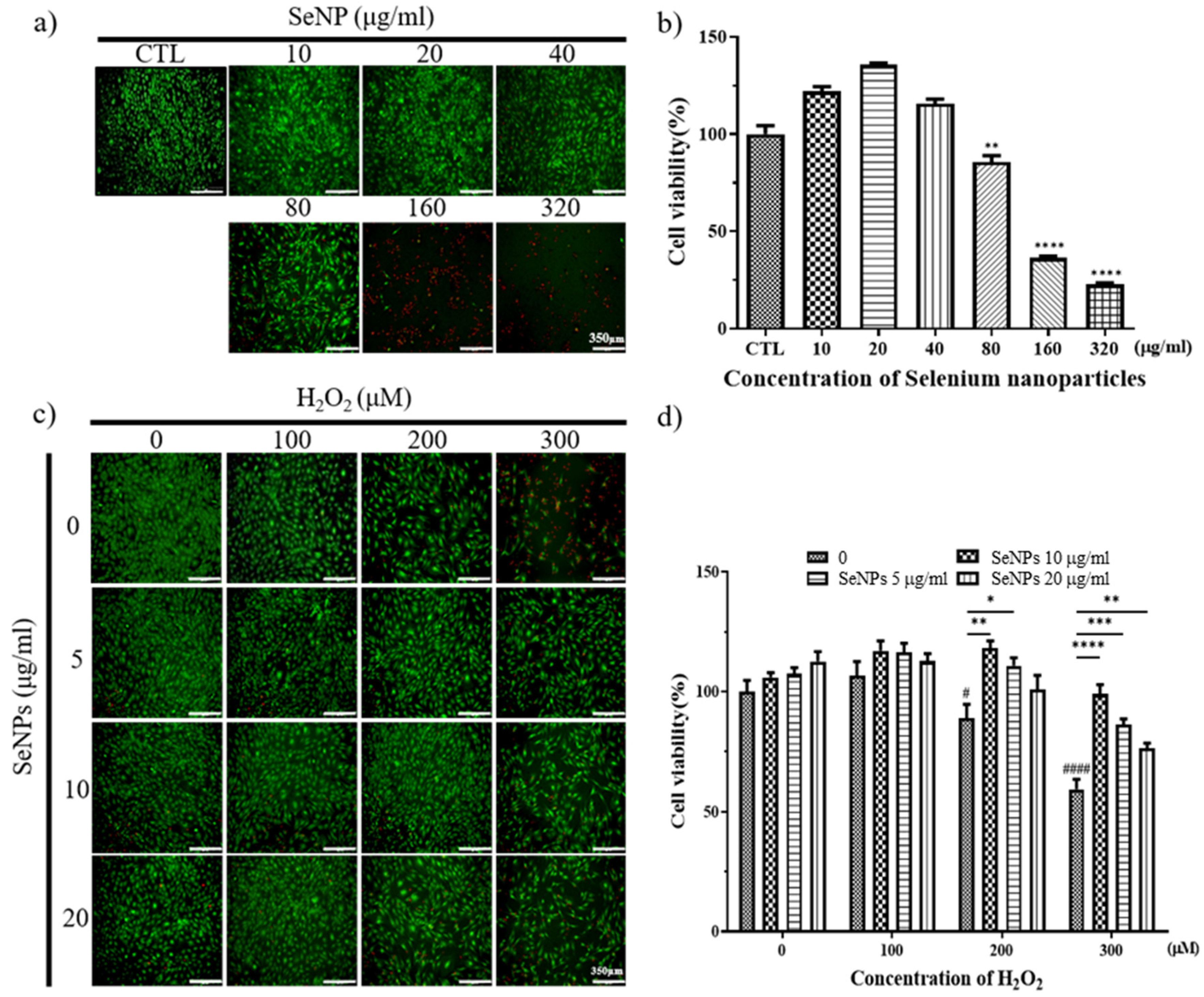 Nanomaterials 11 00557 g003 Nanomaterials 11 00557 g003