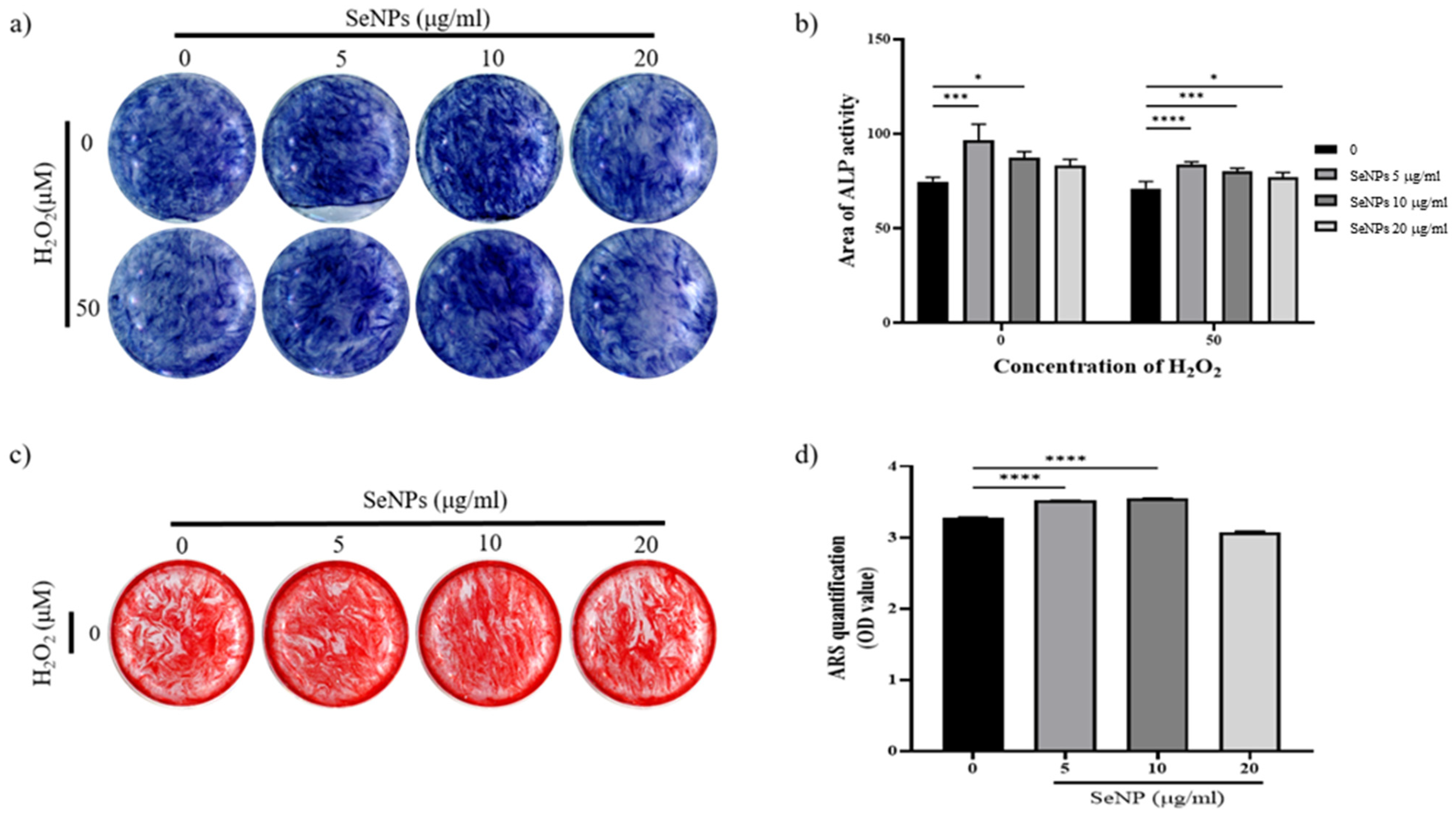 Nanomaterials 11 00557 g006 Nanomaterials 11 00557 g006