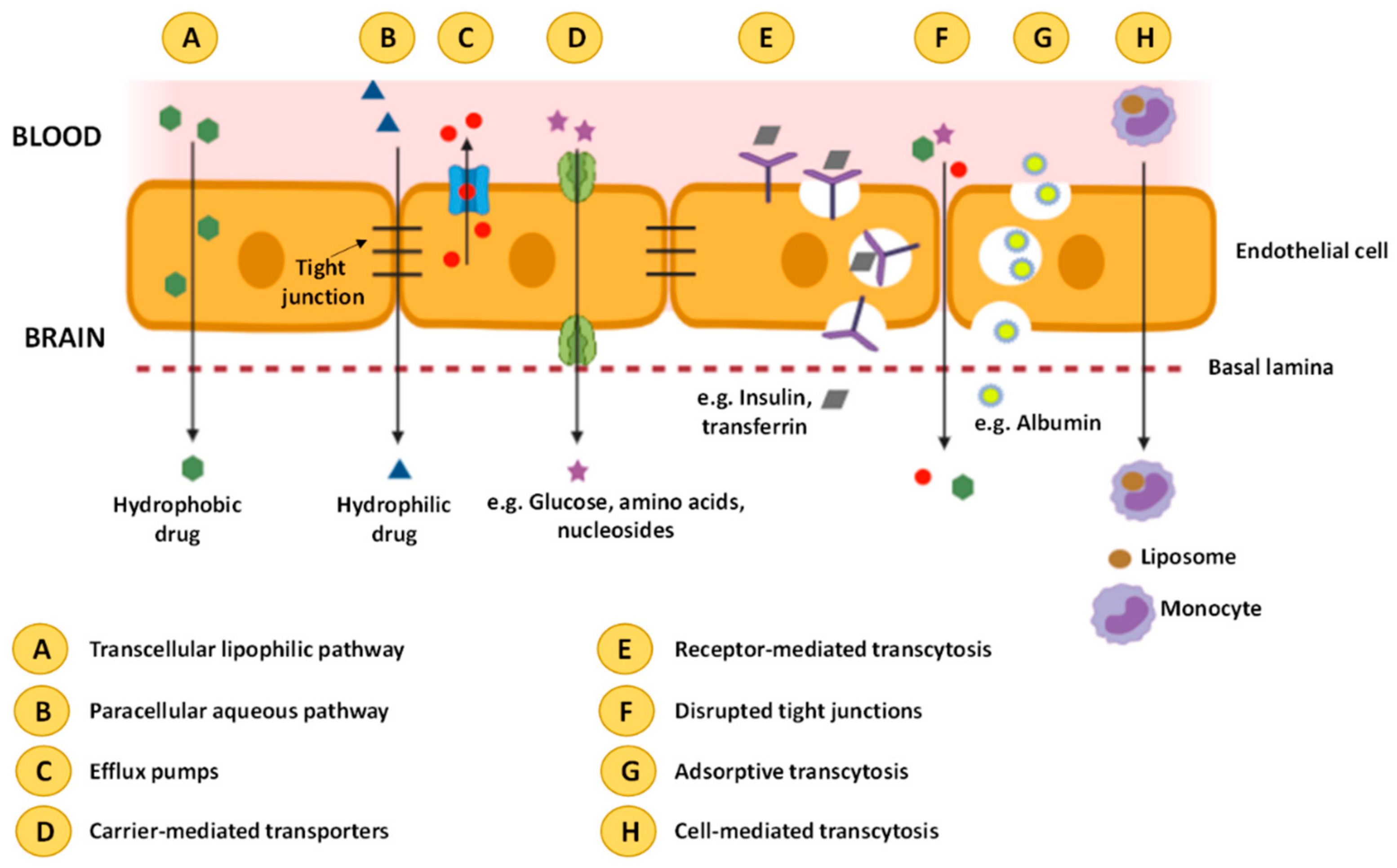 Nanomaterials 11 00563 g002