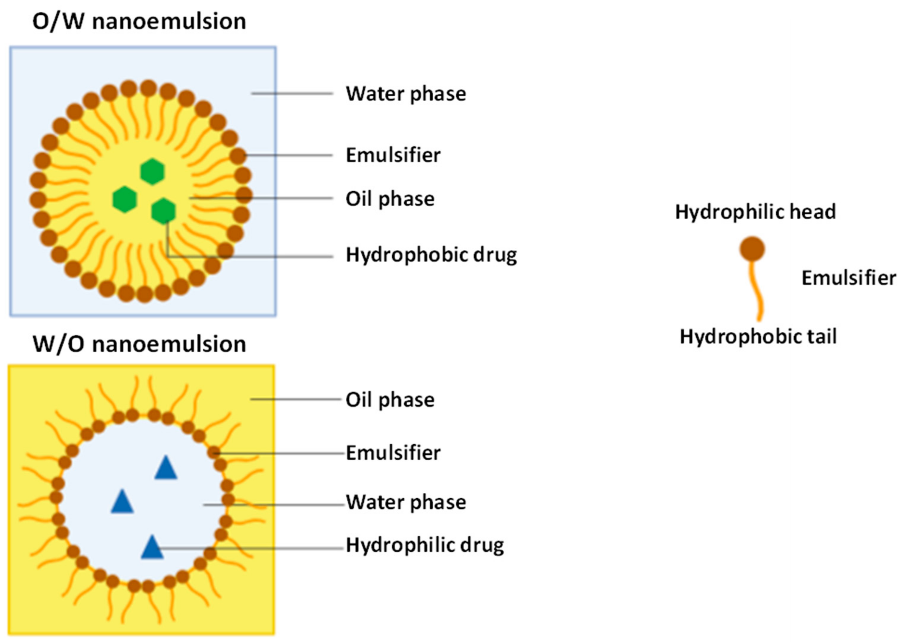 Nanomaterials 11 00563 g003