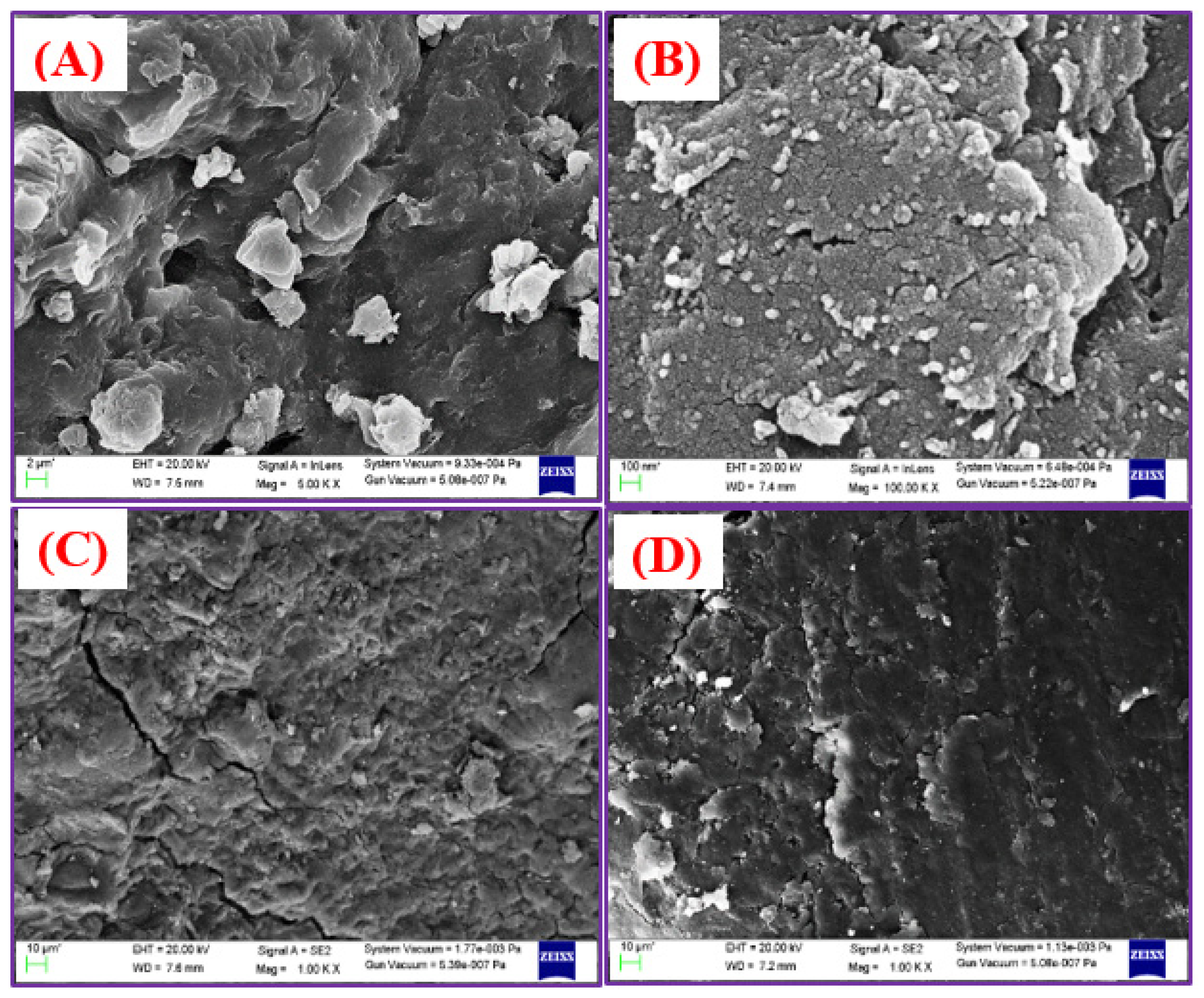 Nanomaterials 11 00568 g005