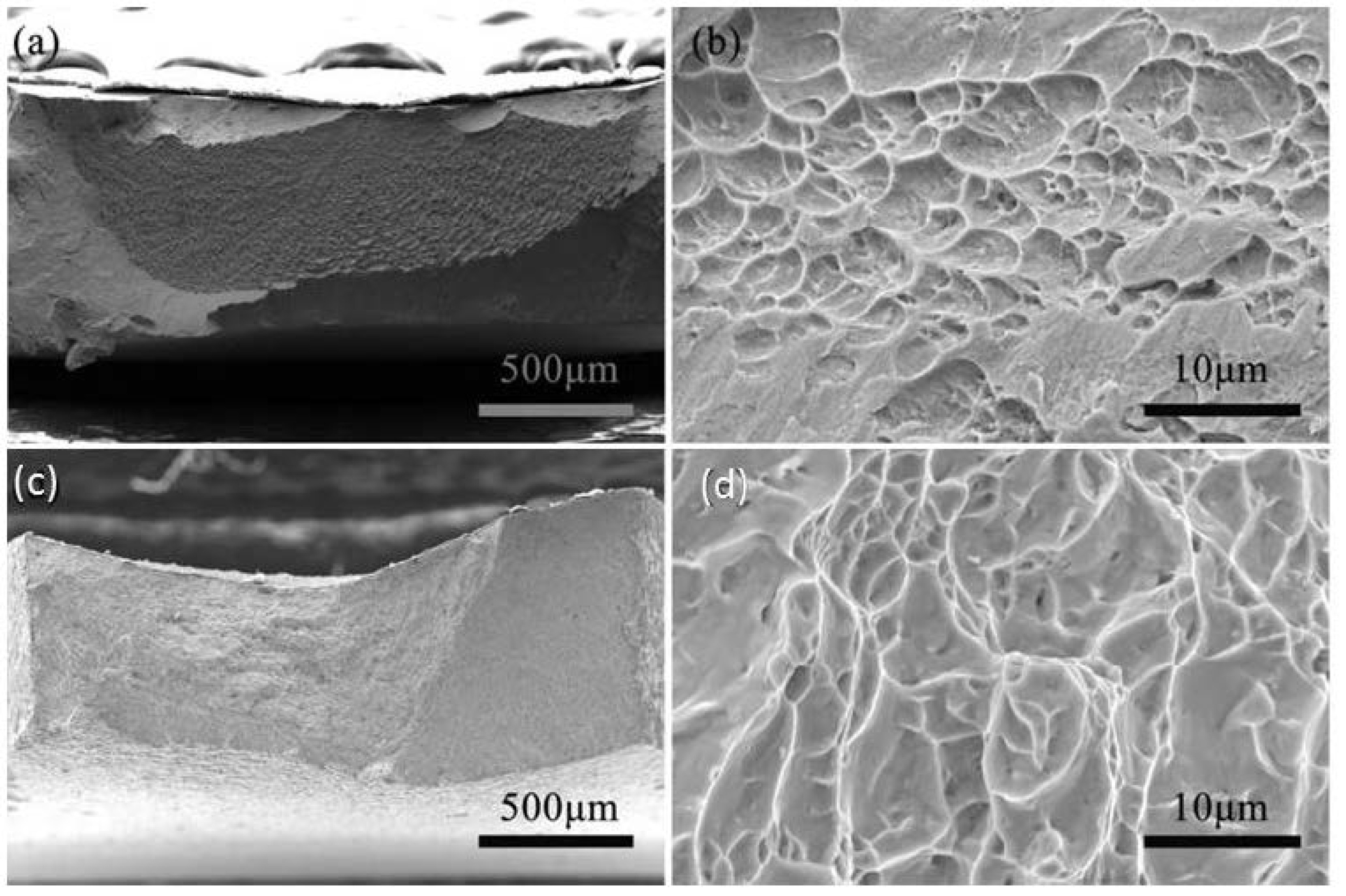 Nanomaterials 11 00574 g010